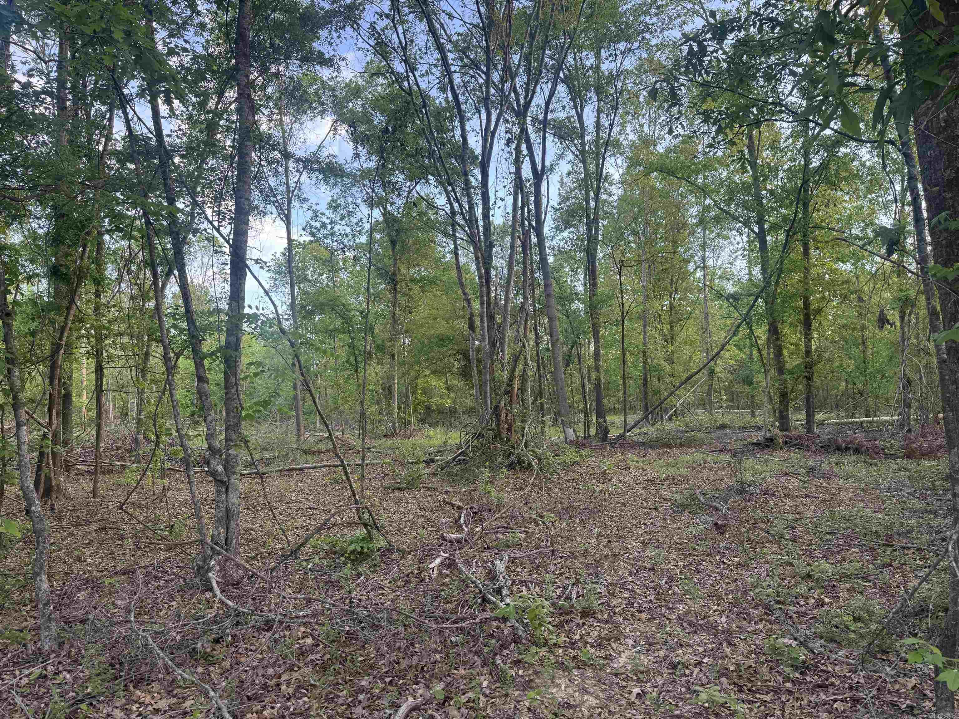 000 Pinebergen rd lot A  Pine Bluff, AR