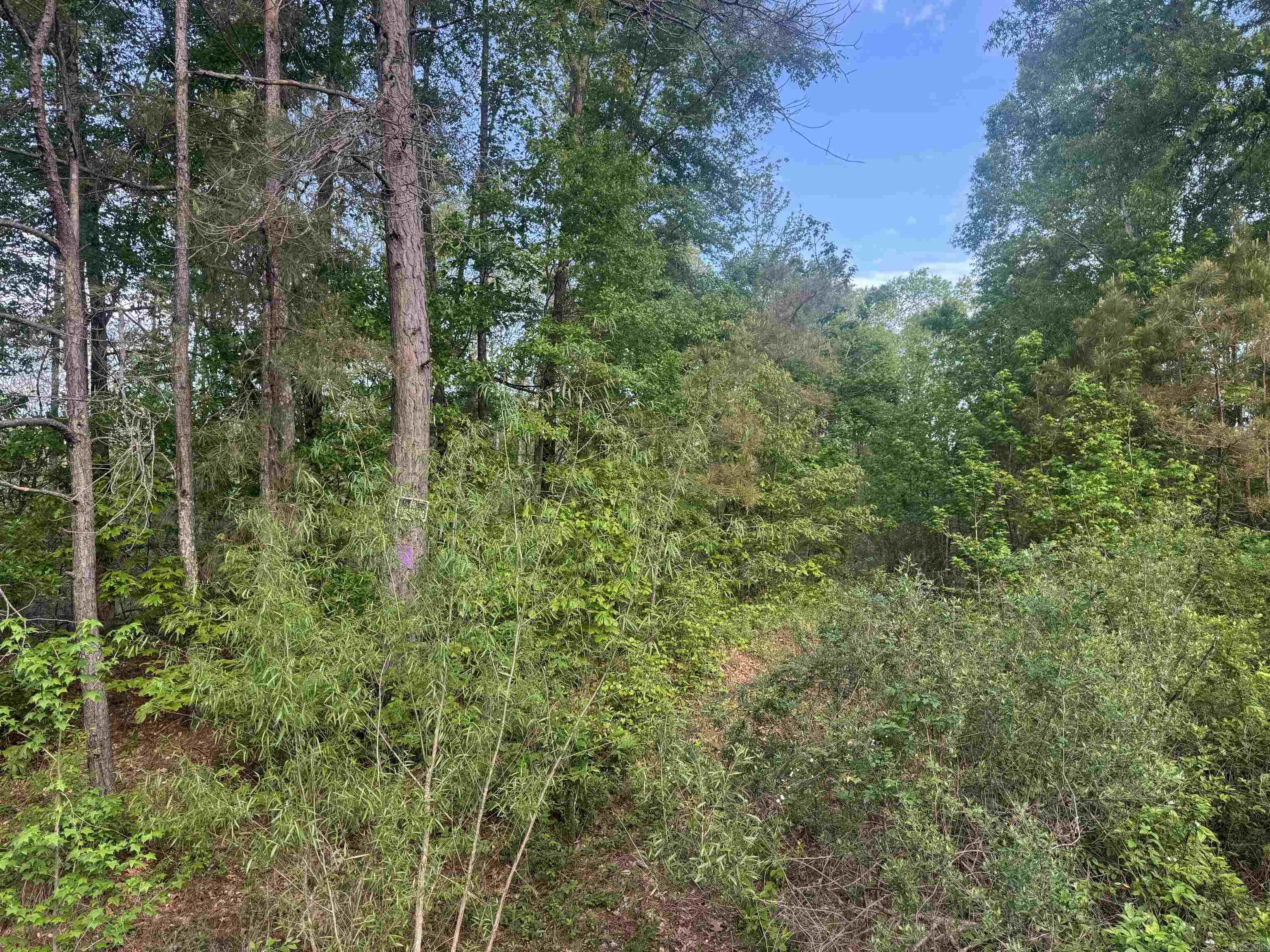 000 Pinebergen rd lot A  Pine Bluff, AR