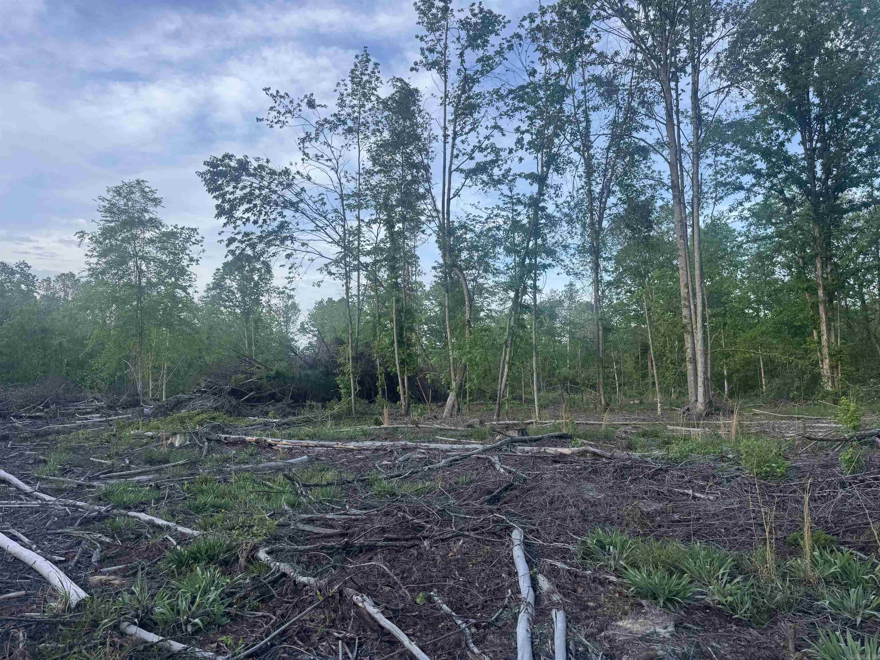 000 Pinebergen rd lot A  Pine Bluff, AR