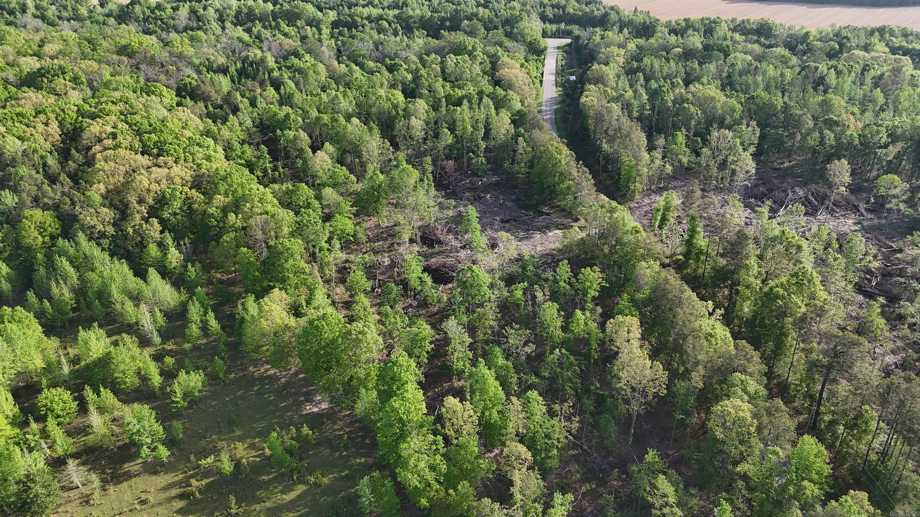 000 Pinebergen rd lot A  Pine Bluff, AR