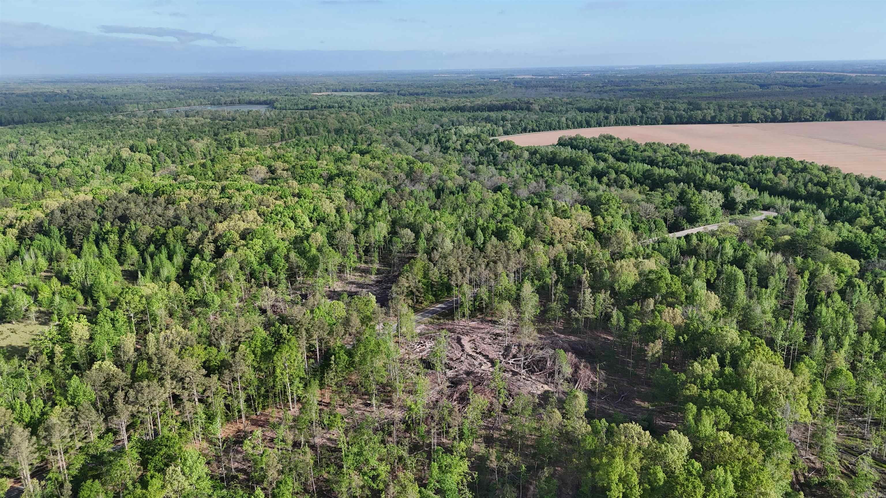 000 Pinebergen rd lot A  Pine Bluff, AR