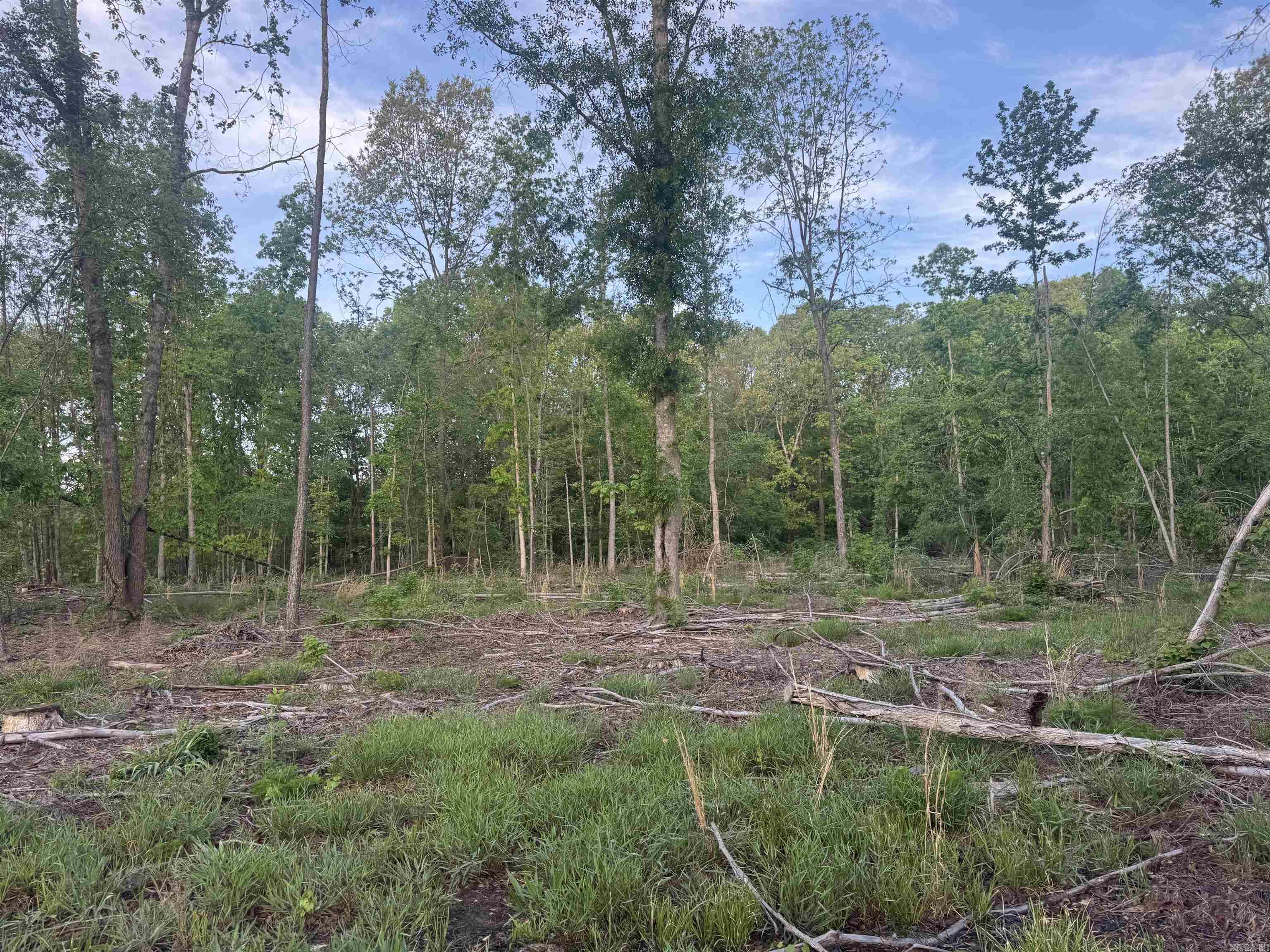 000 Pinebergen rd lot A  Pine Bluff, AR