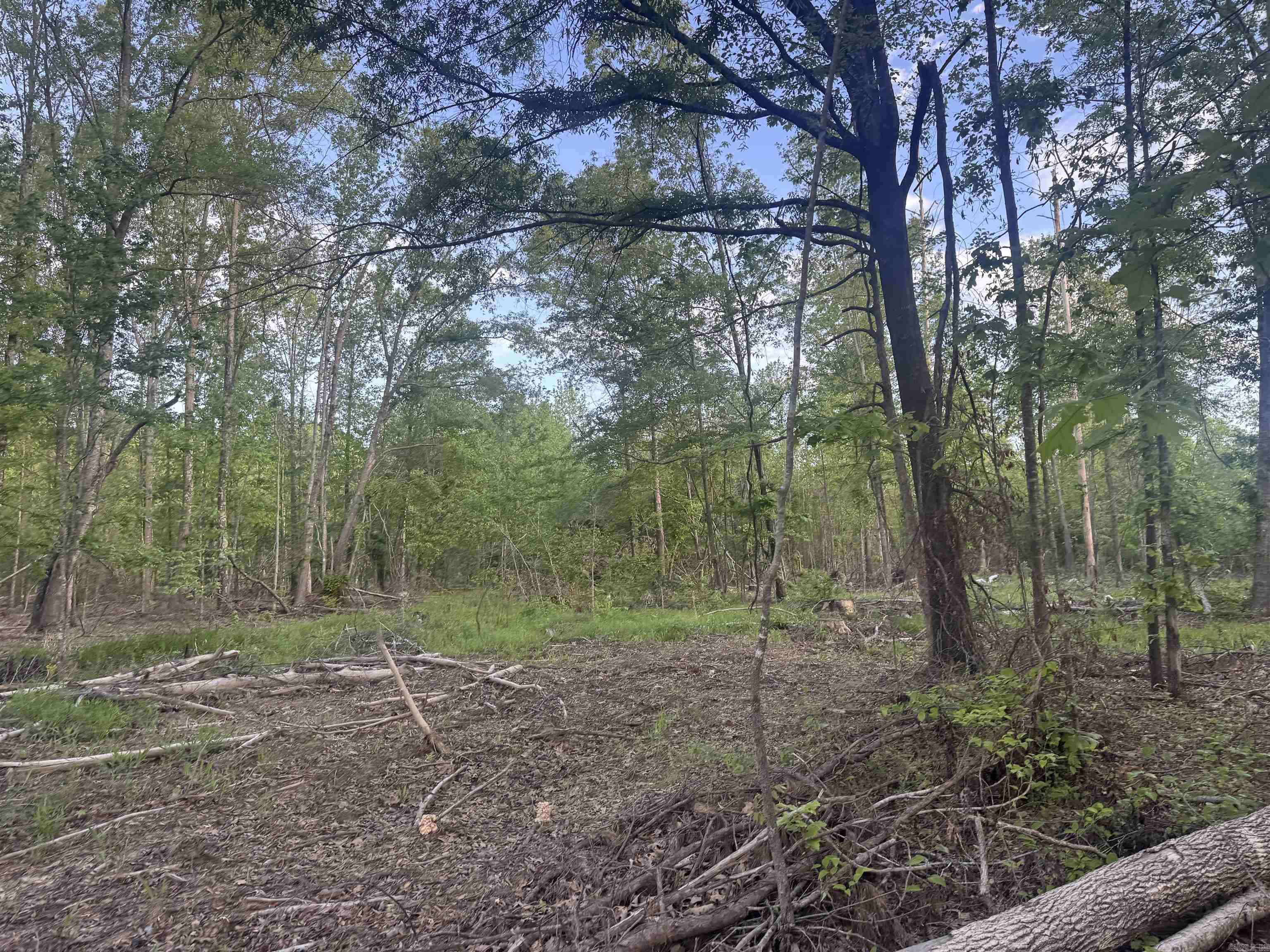 000 Pinebergen rd lot A  Pine Bluff, AR