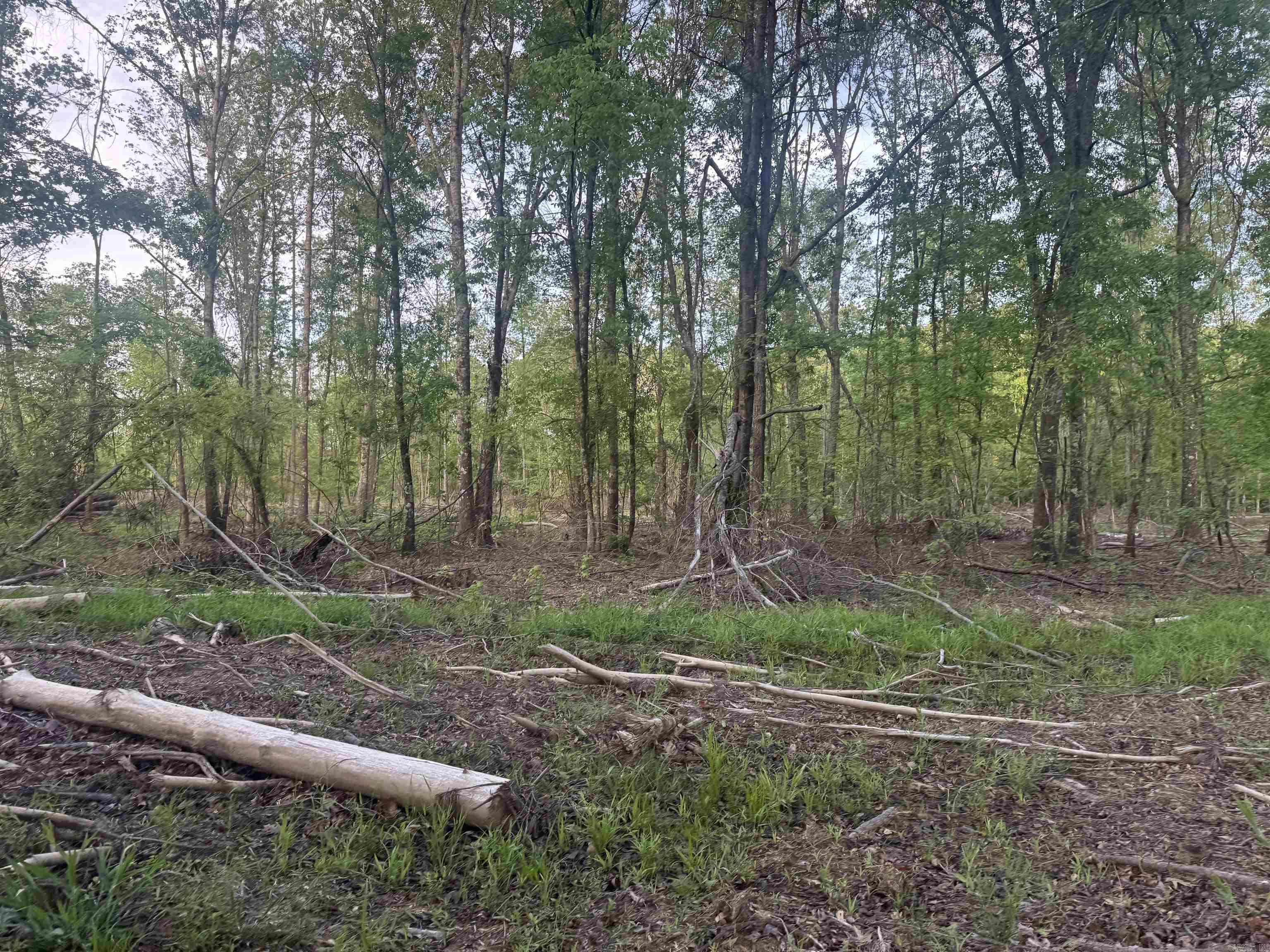 000 Pinebergen rd lot A  Pine Bluff, AR