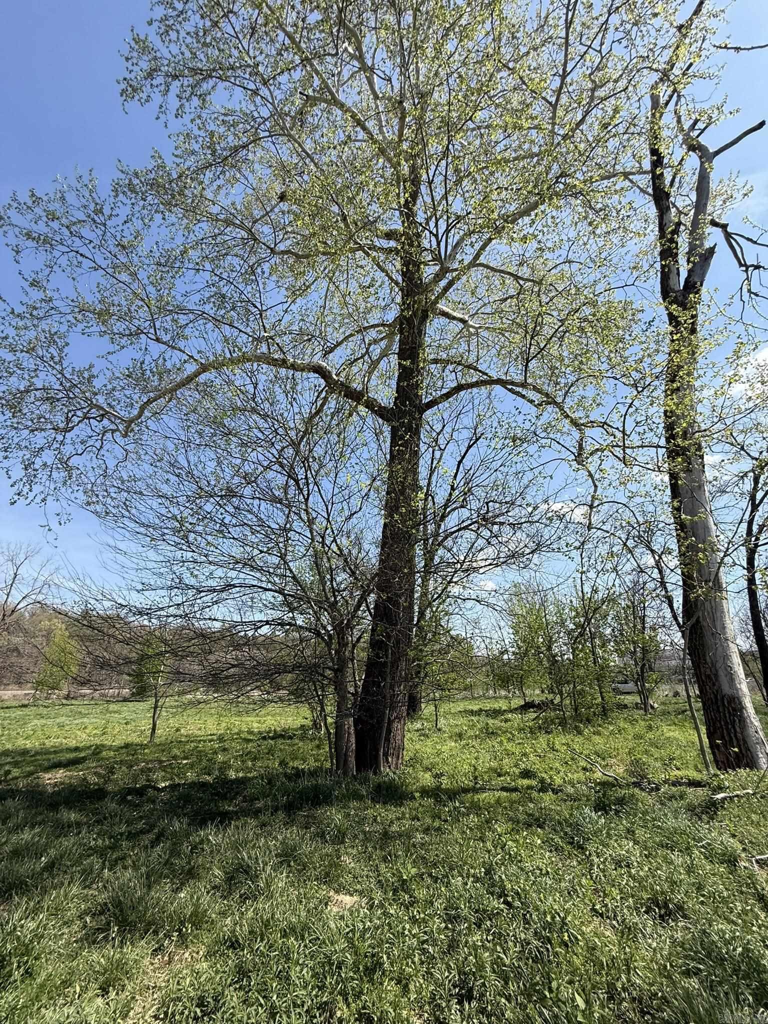 000 Kate  Batesville, AR