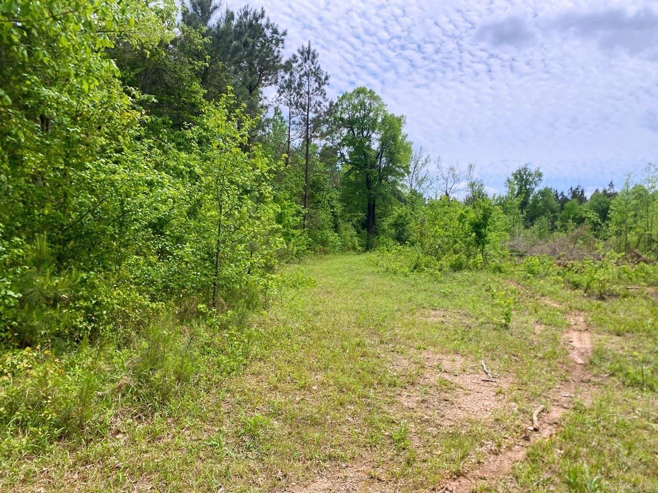 000 Dallas 245  Sparkman, AR