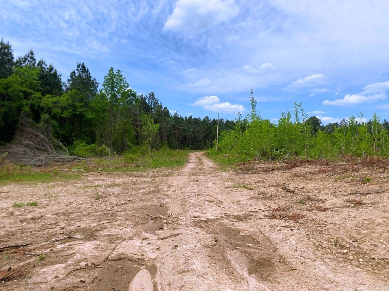 000 Dallas 245  Sparkman, AR