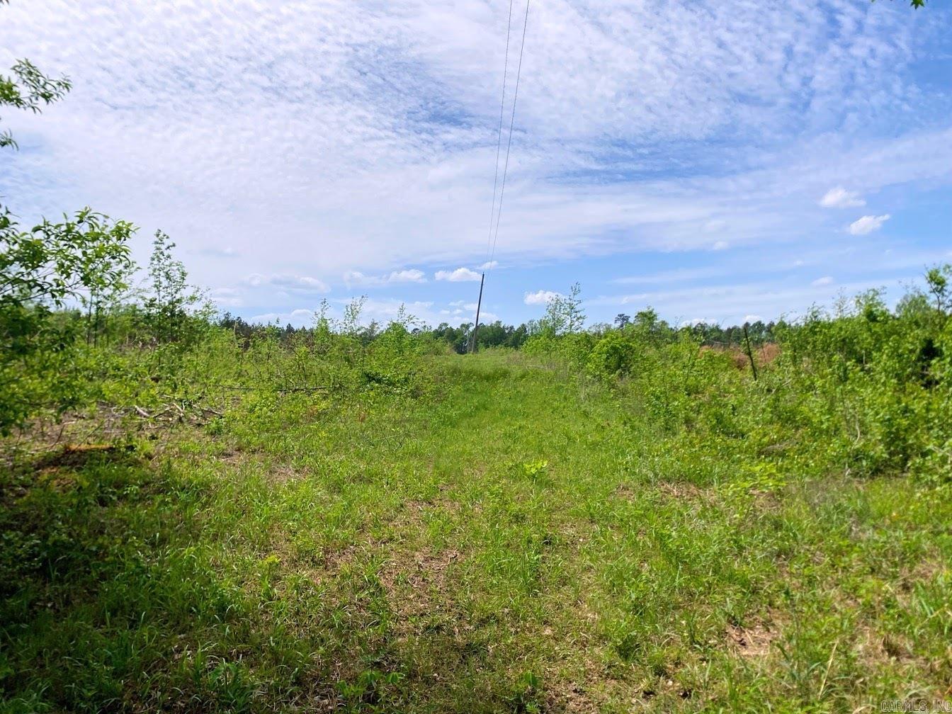 000 Dallas 245  Sparkman, AR