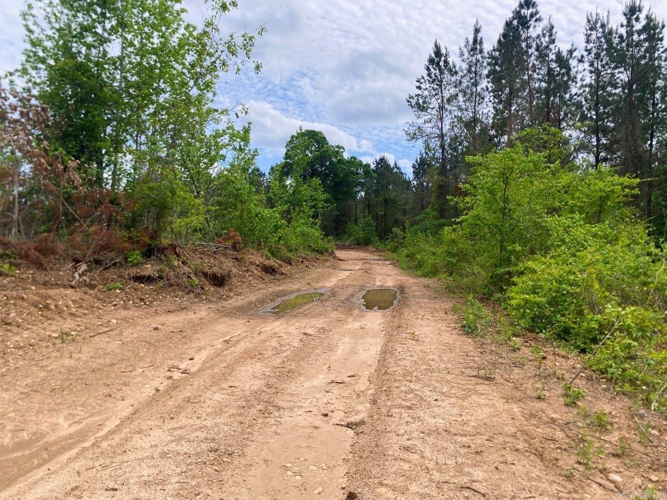 000 Dallas 245  Sparkman, AR