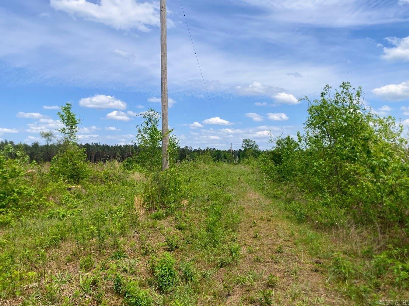 000 Dallas 245  Sparkman, AR
