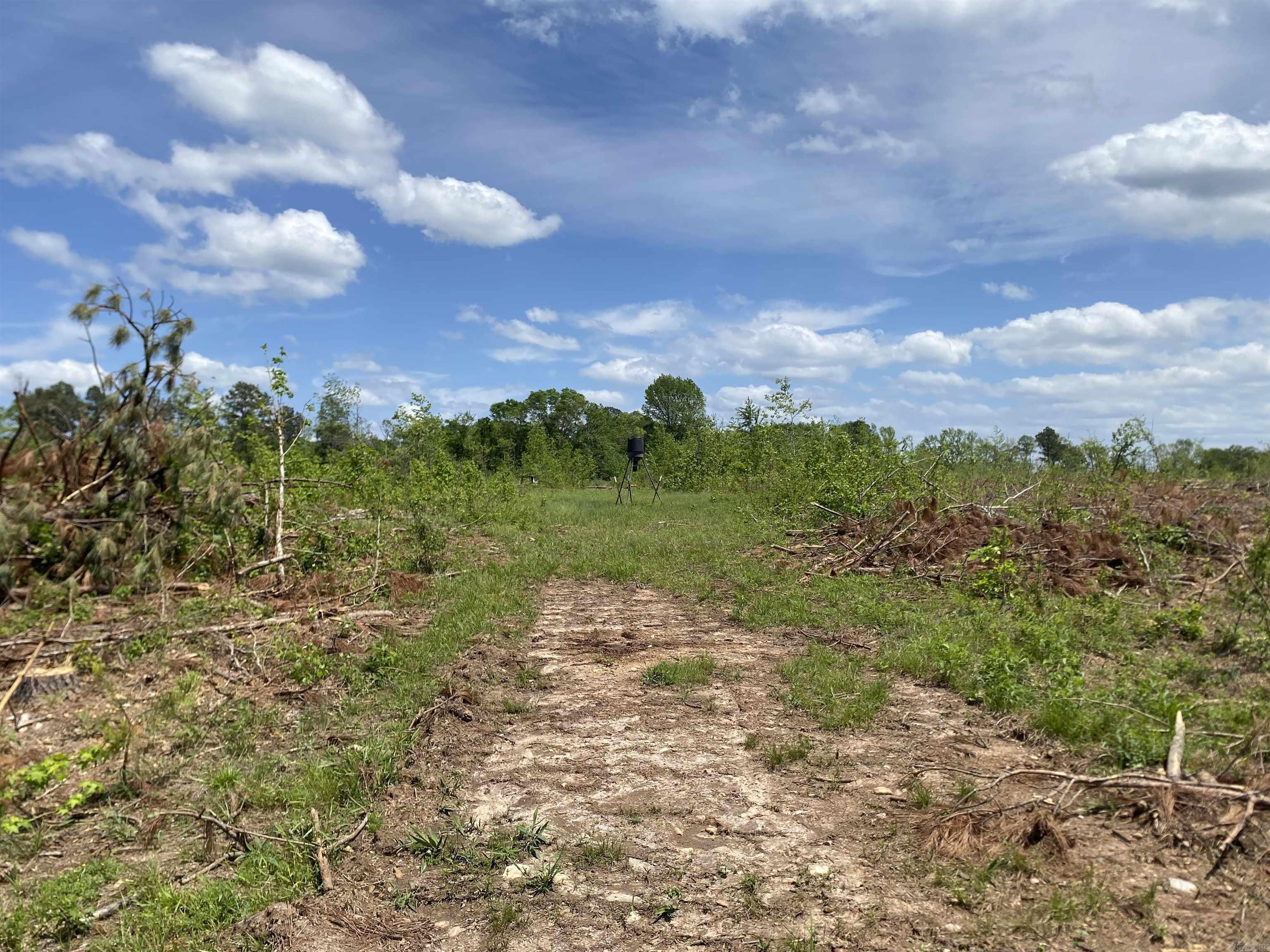 000 Dallas 245  Sparkman, AR