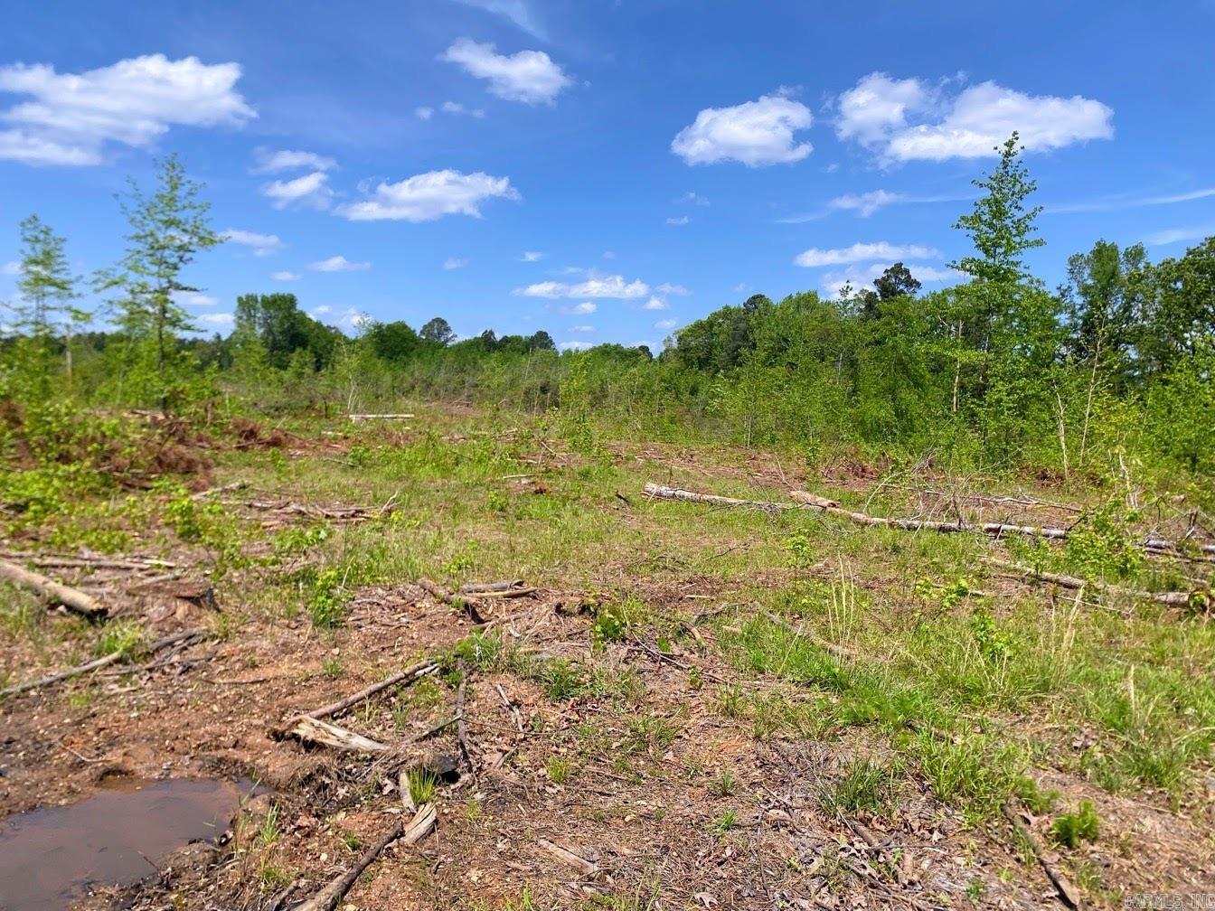 000 Dallas 245  Sparkman, AR