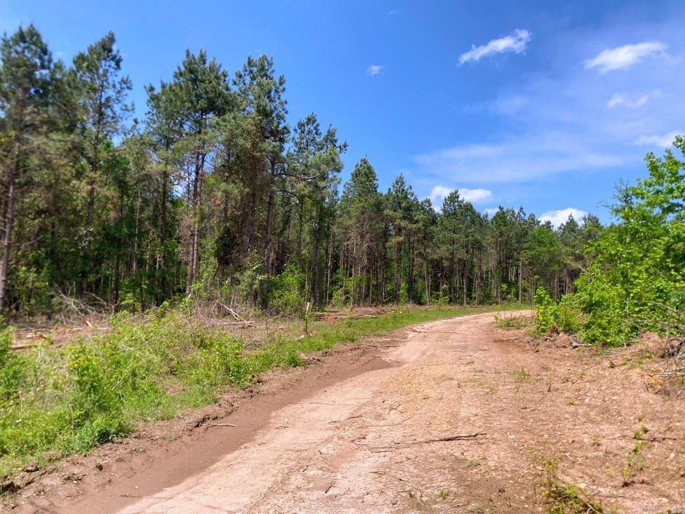 000 Dallas 245  Sparkman, AR