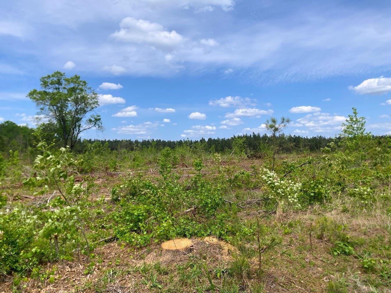 000 Dallas 245  Sparkman, AR