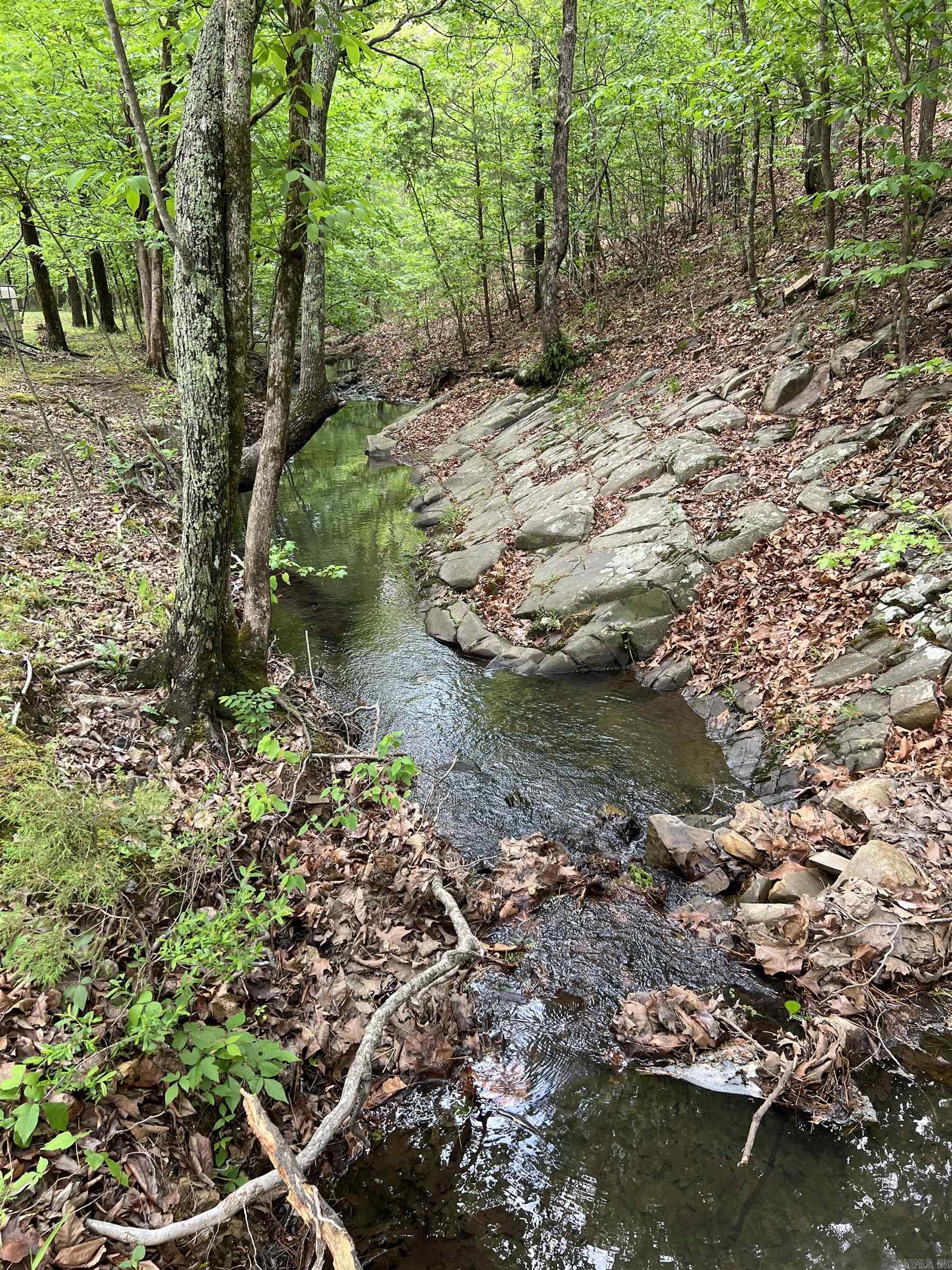 654 Polk Road 42  Mena, AR