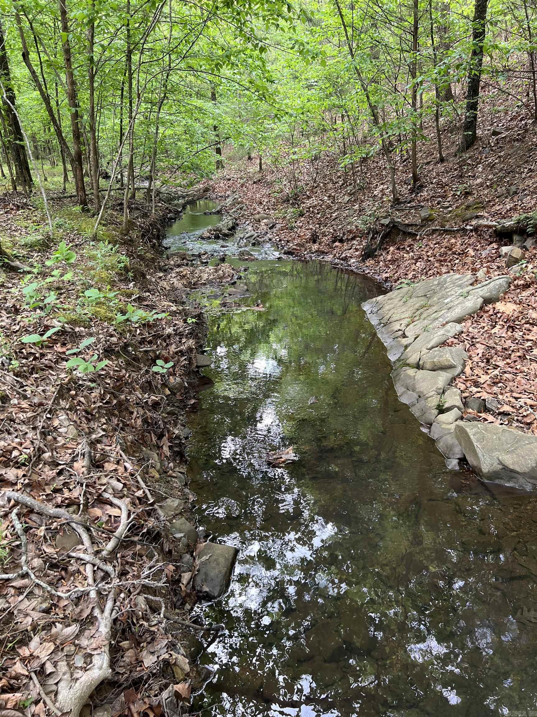 654 Polk Road 42  Mena, AR