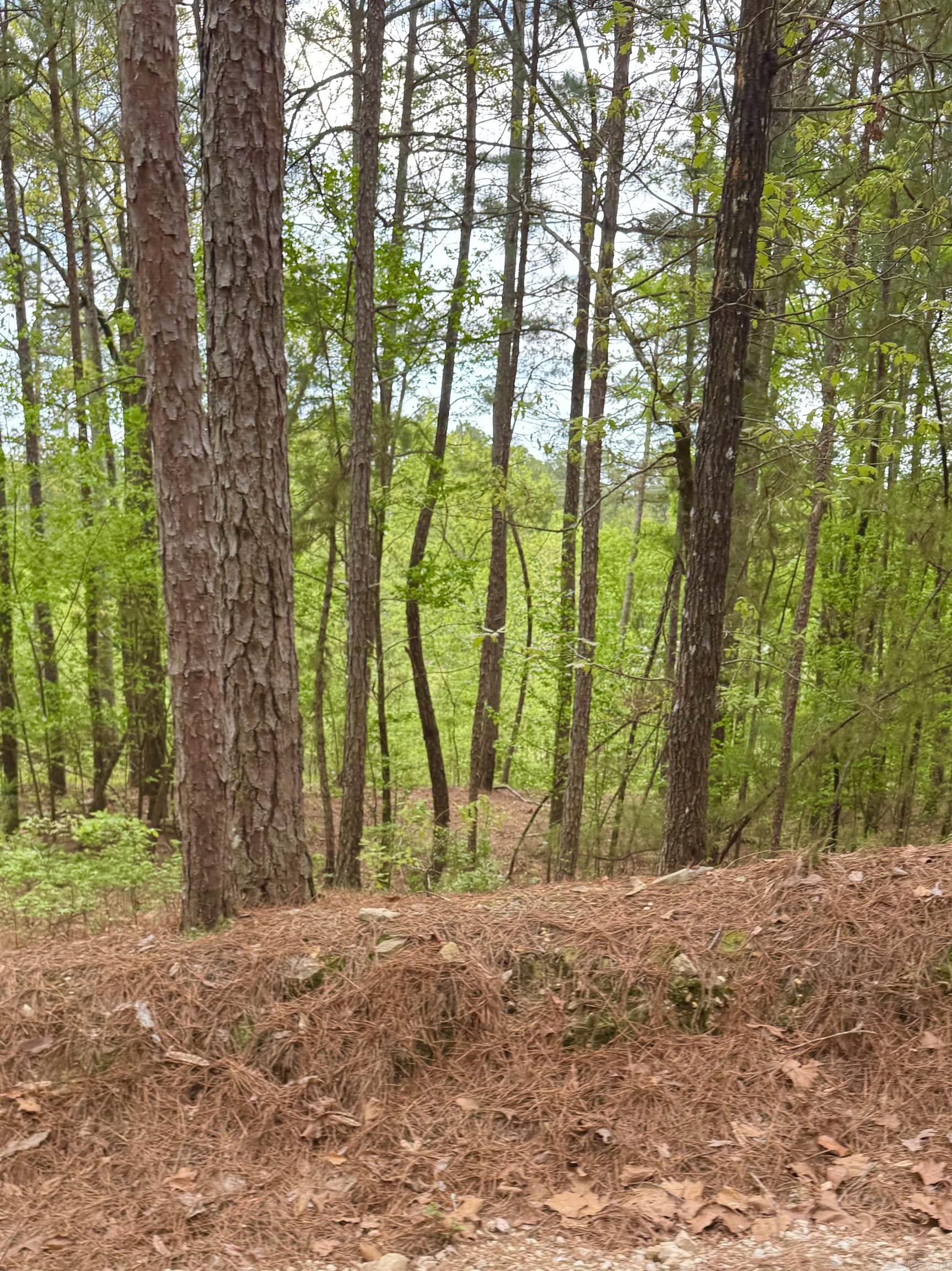 Vacant land Doubloon  Hot Springs, AR