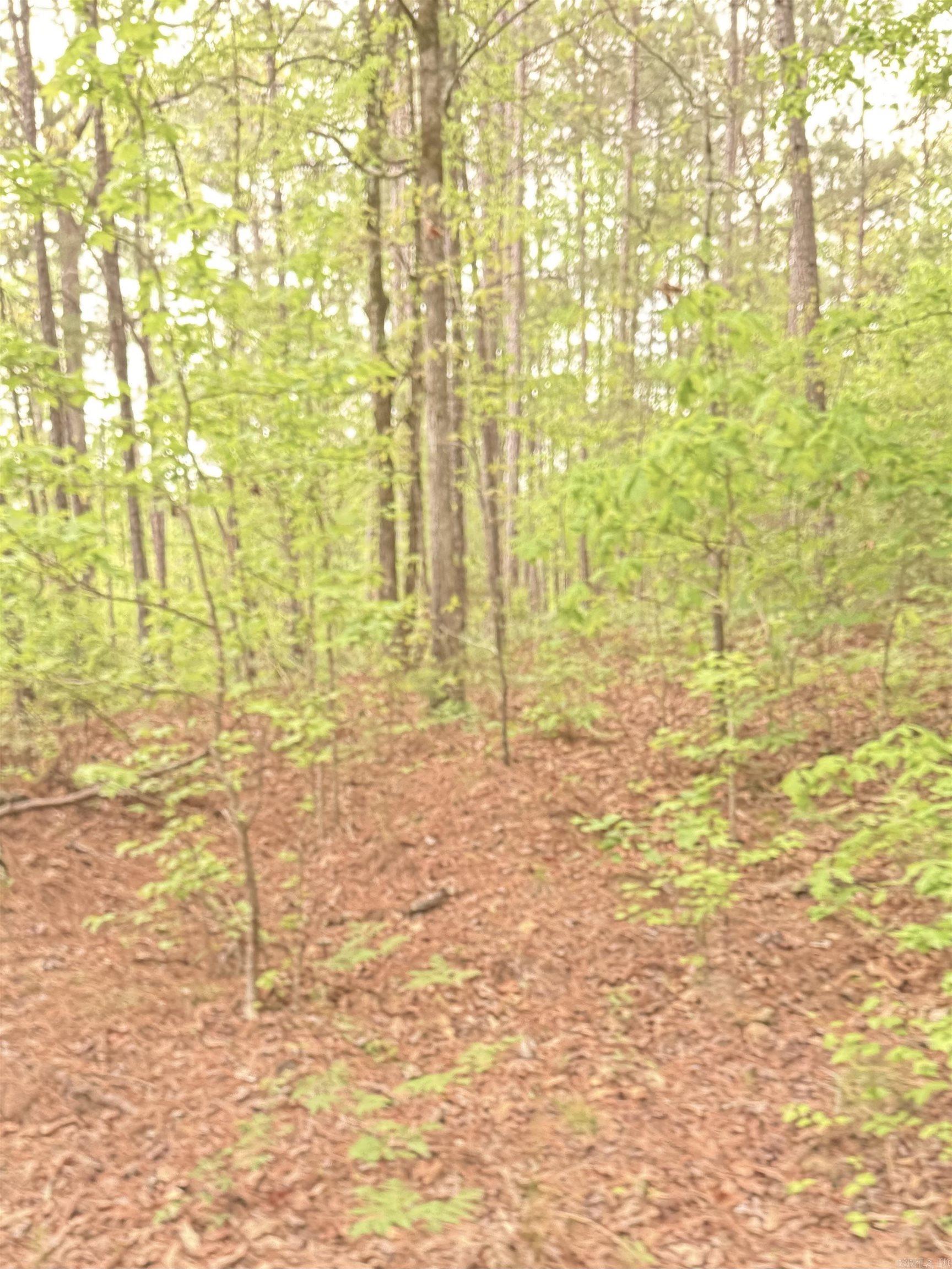 Vacant land Doubloon  Hot Springs, AR