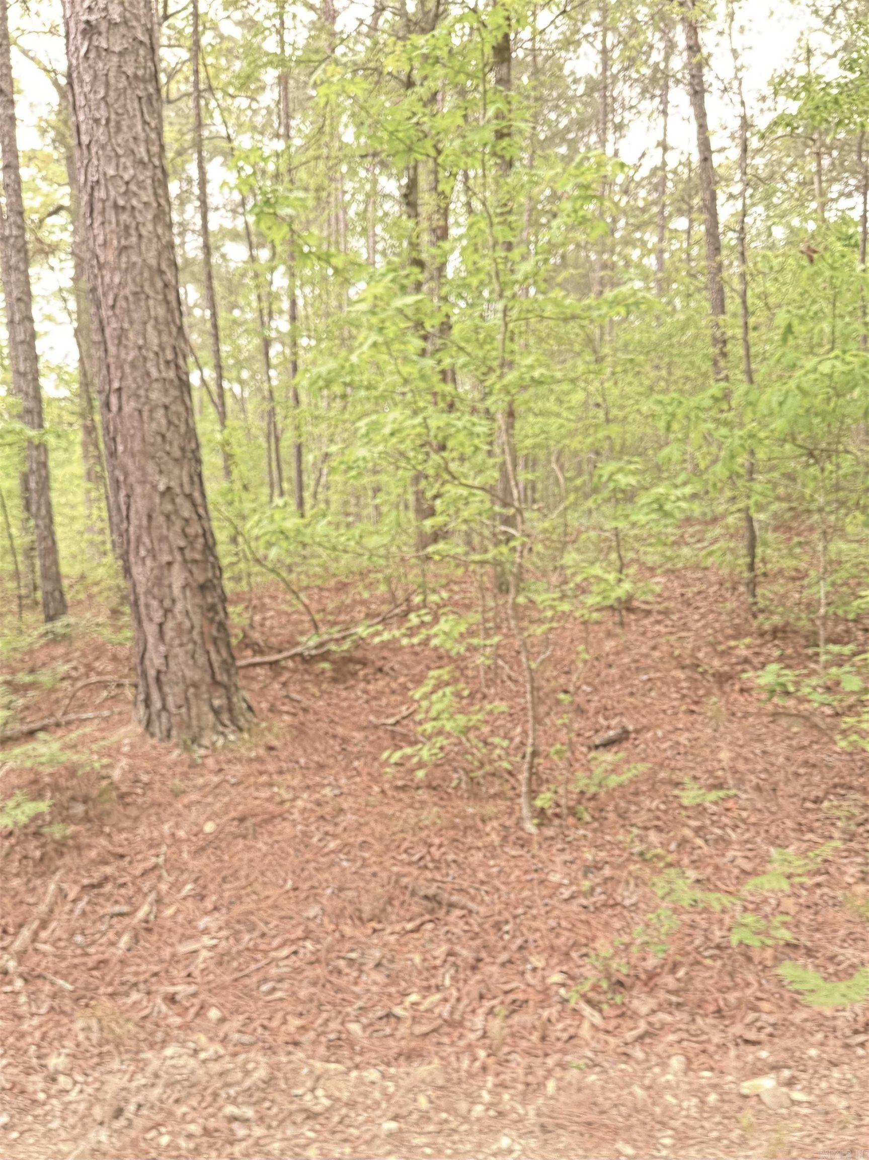 Vacant land Doubloon  Hot Springs, AR