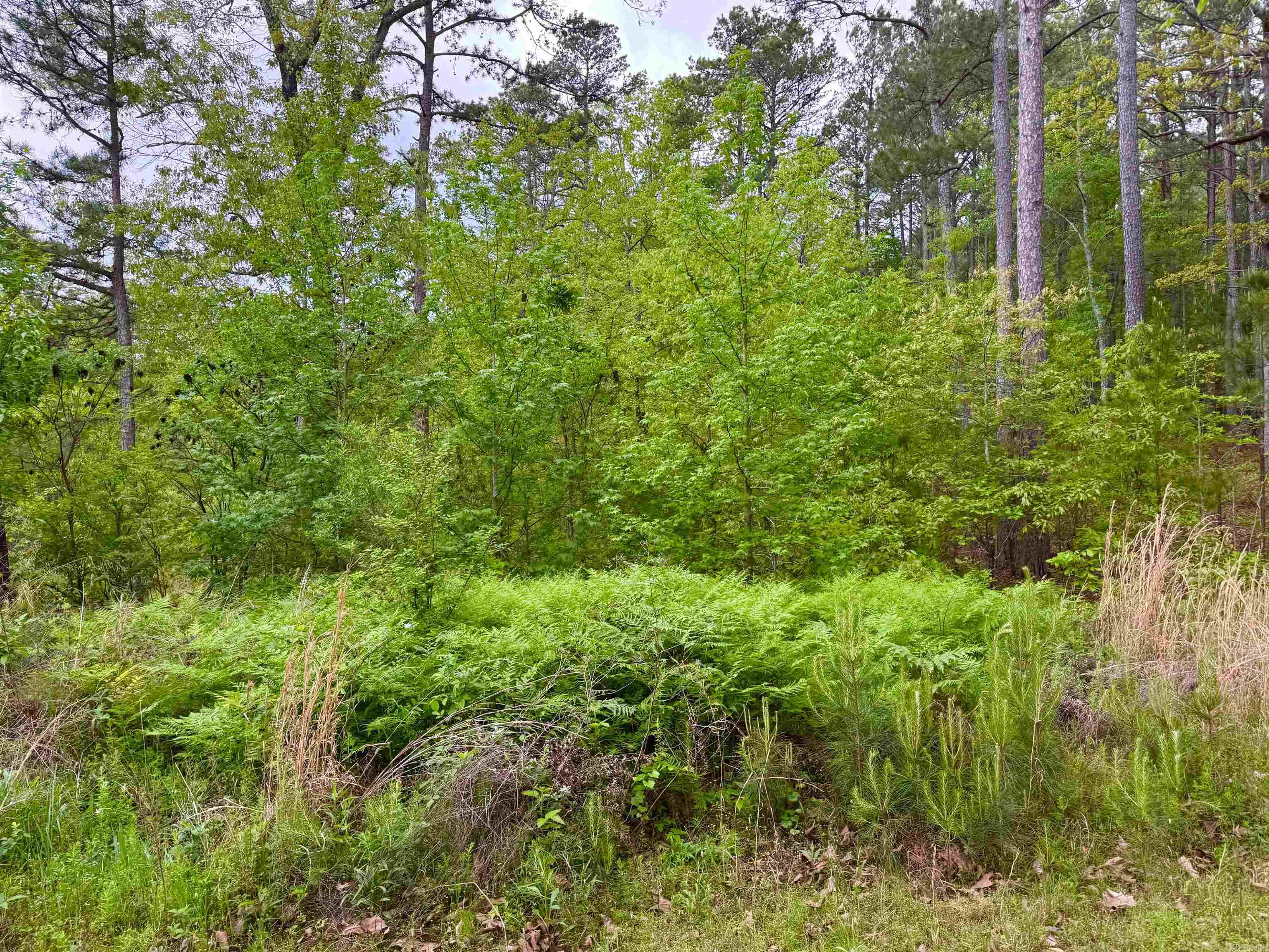 Vacant land Doubloon  Hot Springs, AR