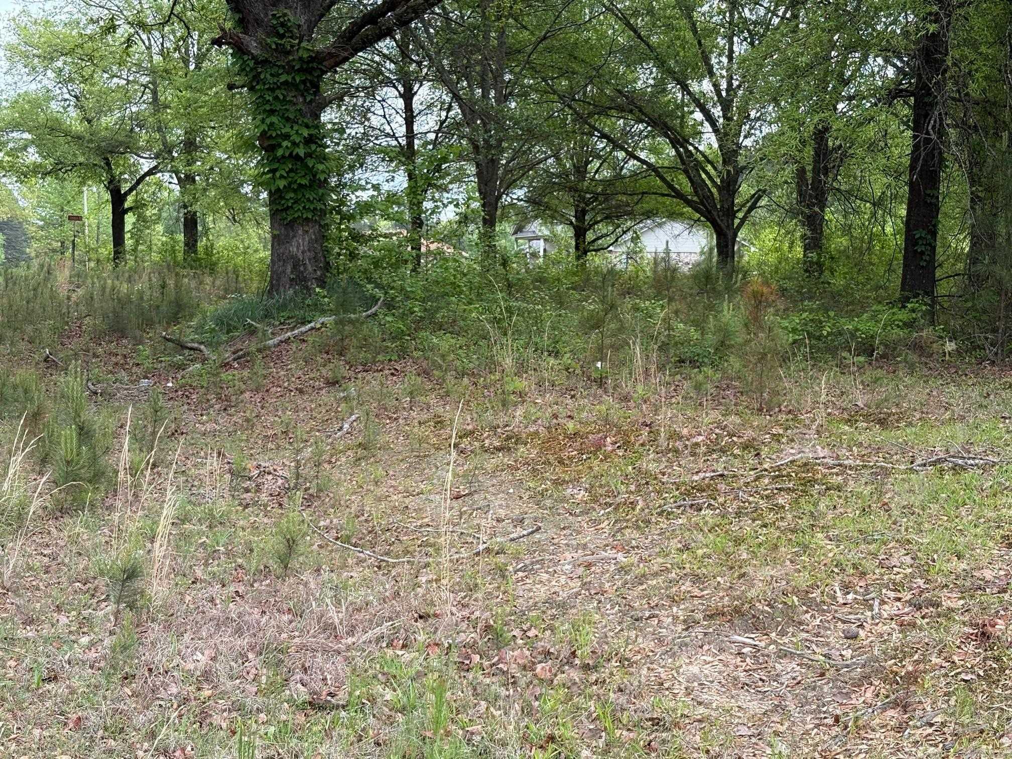 10608 Princeton Pike  White, AR