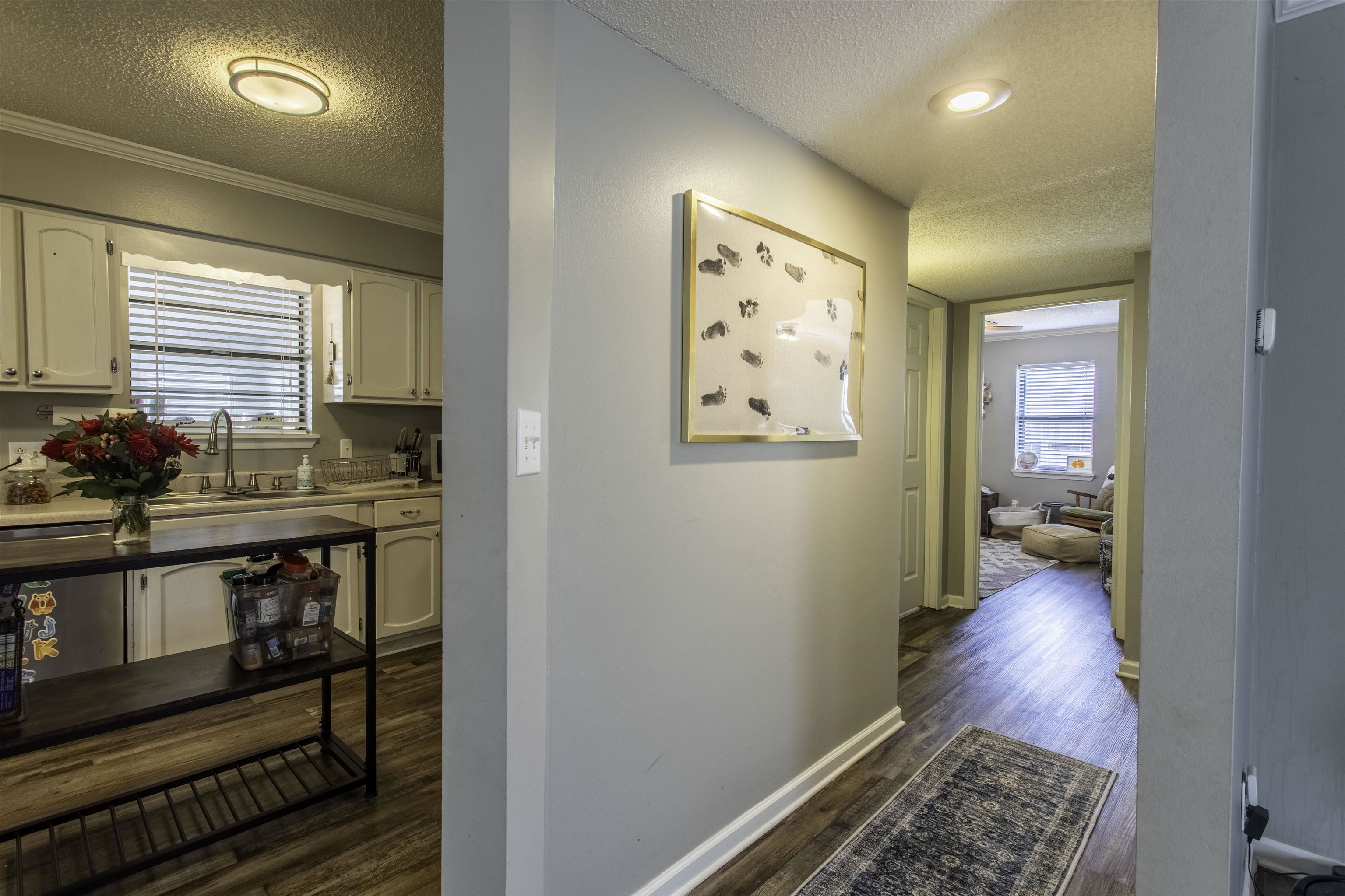 330 Camie  Walnut Ridge, AR