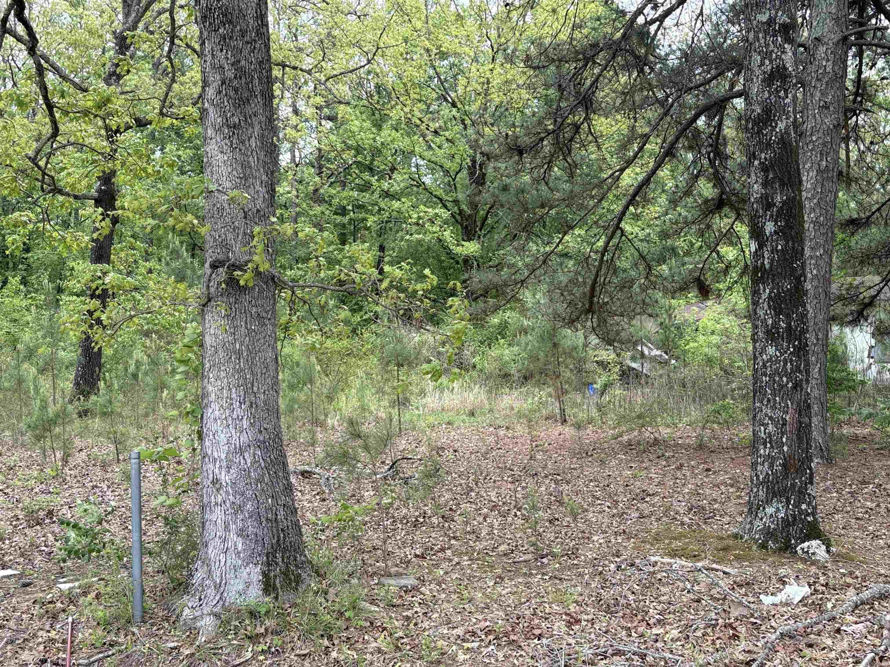 6500 Forrest Oak  Pine Bluff, AR