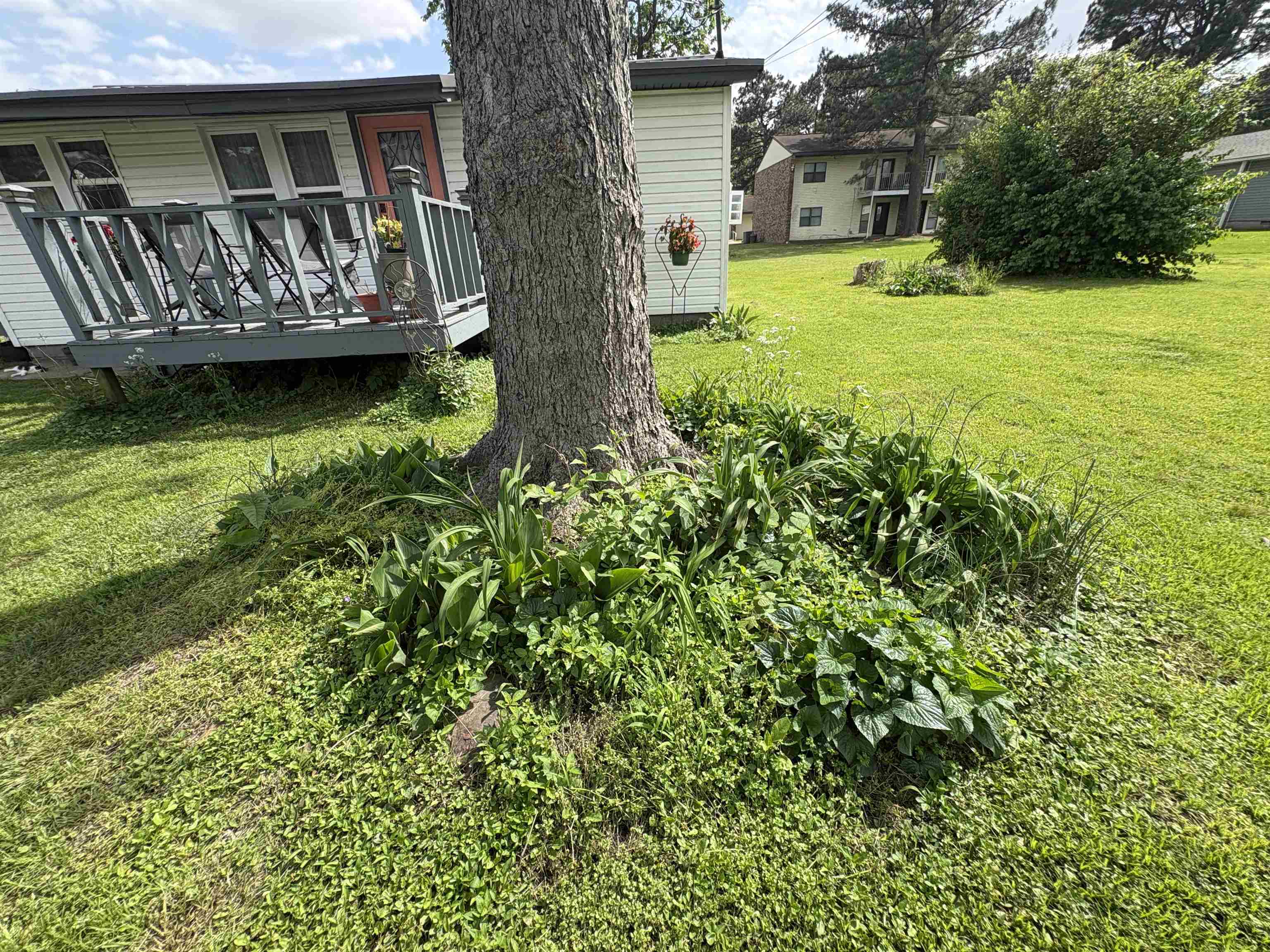 631 E Castleberry Street  Piggott, AR