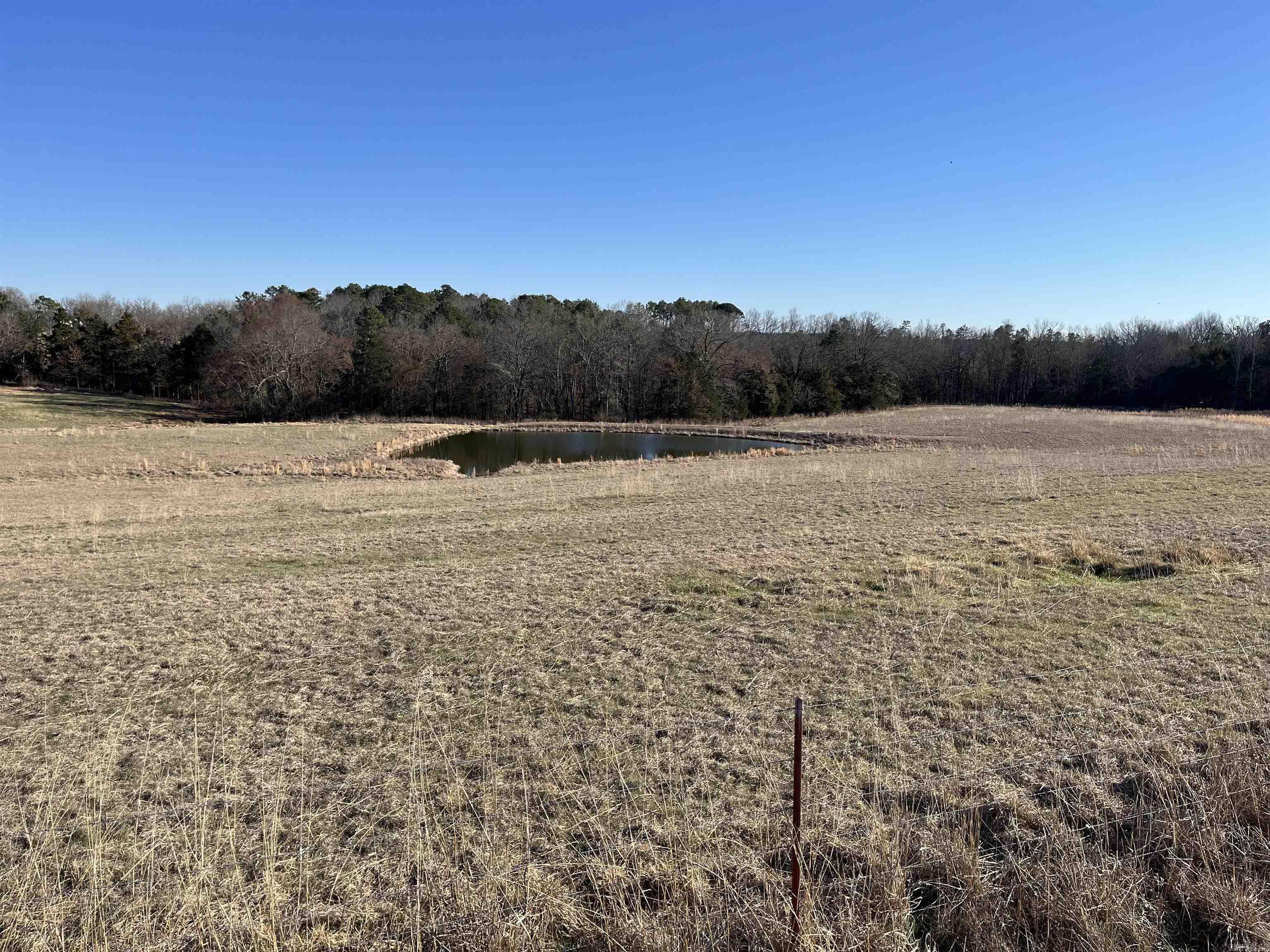 000 Spires Rd.  Damascus, AR