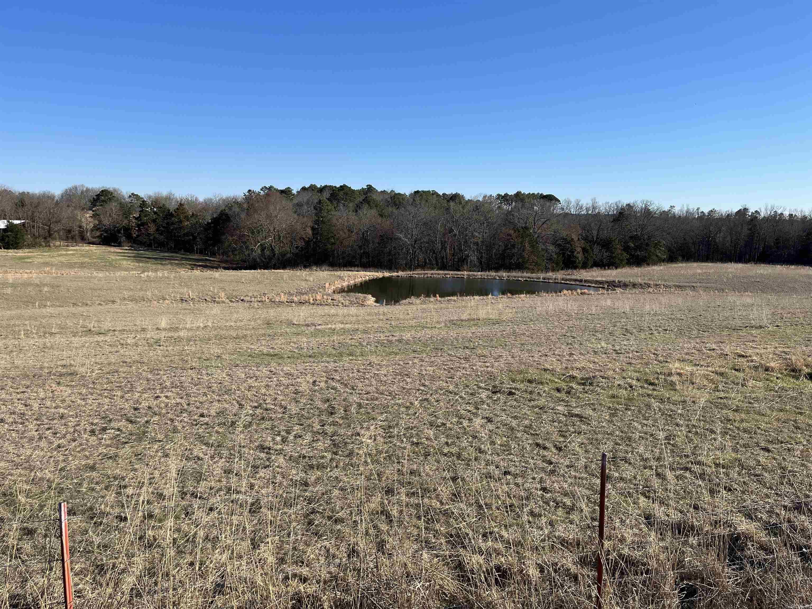 000 Spires Rd.  Damascus, AR