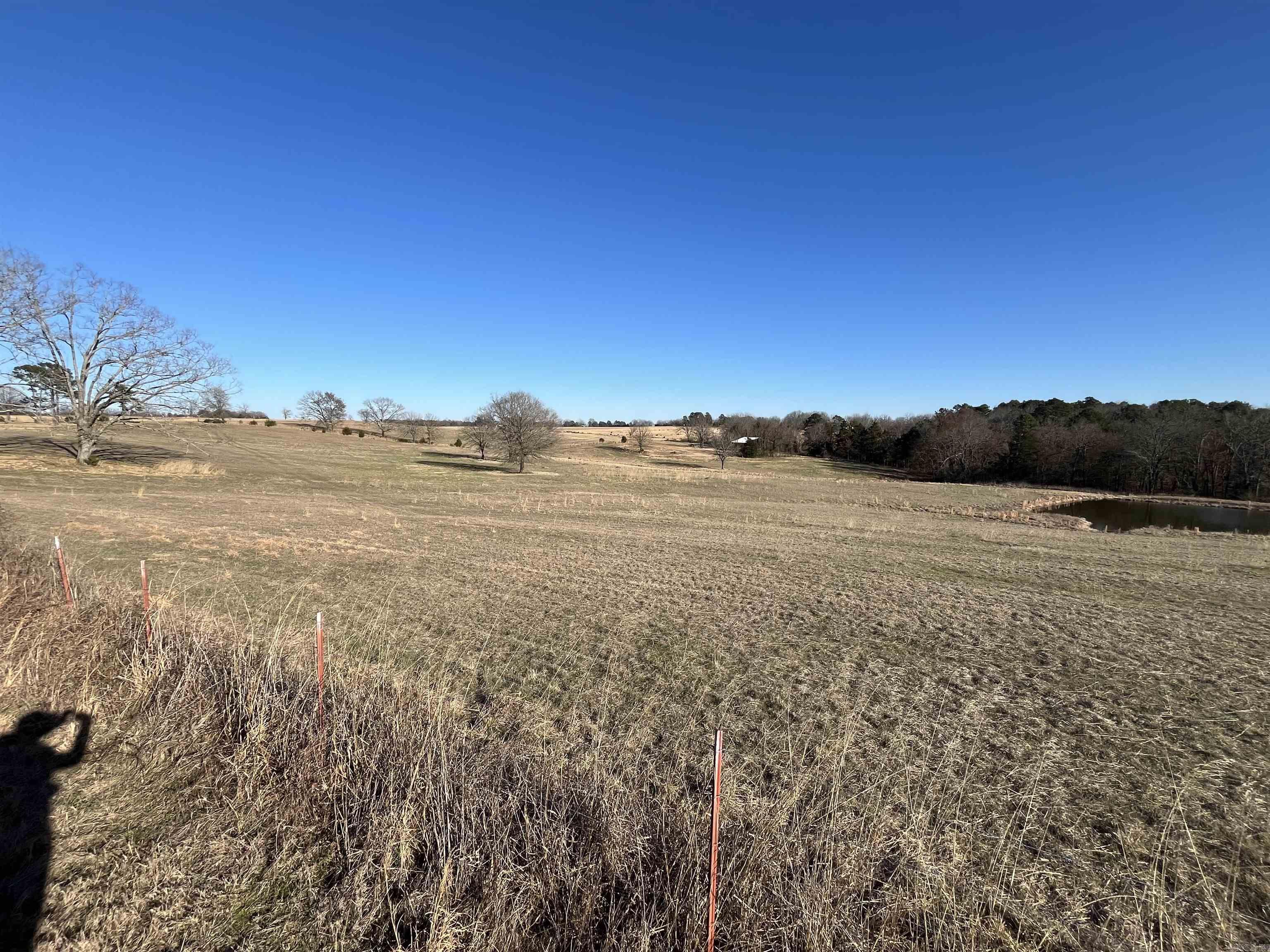 000 Spires Rd.  Damascus, AR