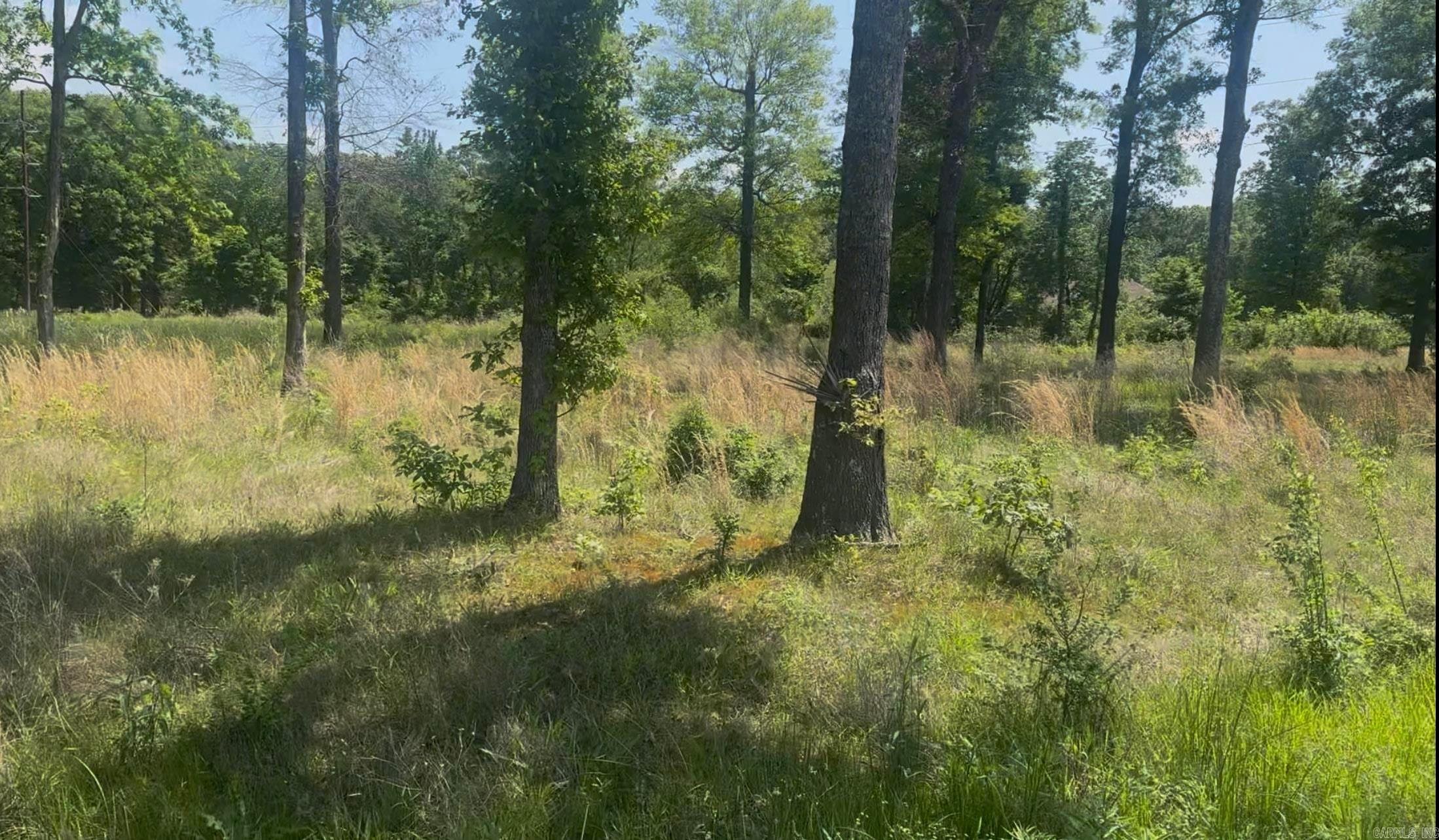 135 Singleton  Lonoke, AR