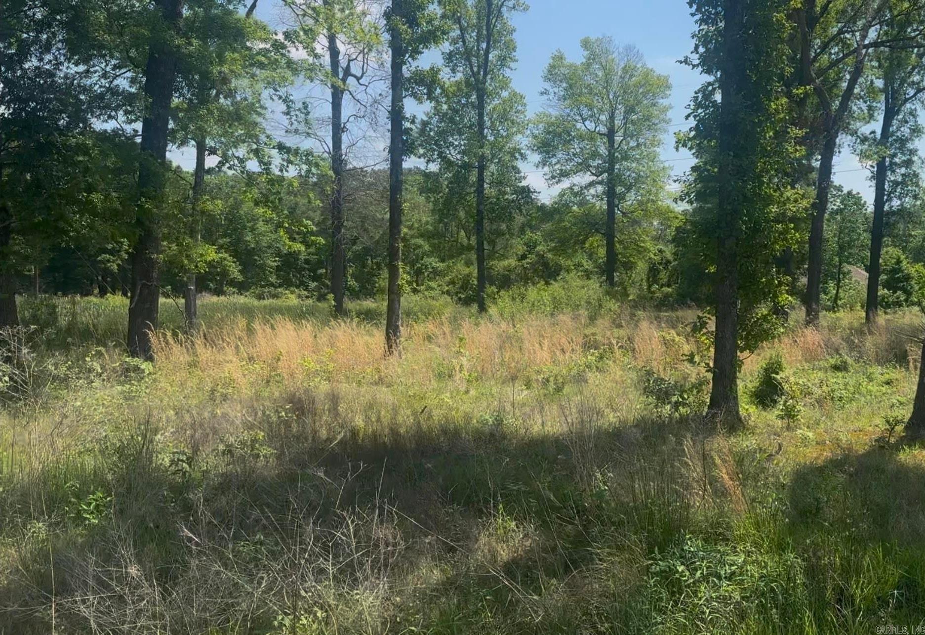 135 Singleton  Lonoke, AR