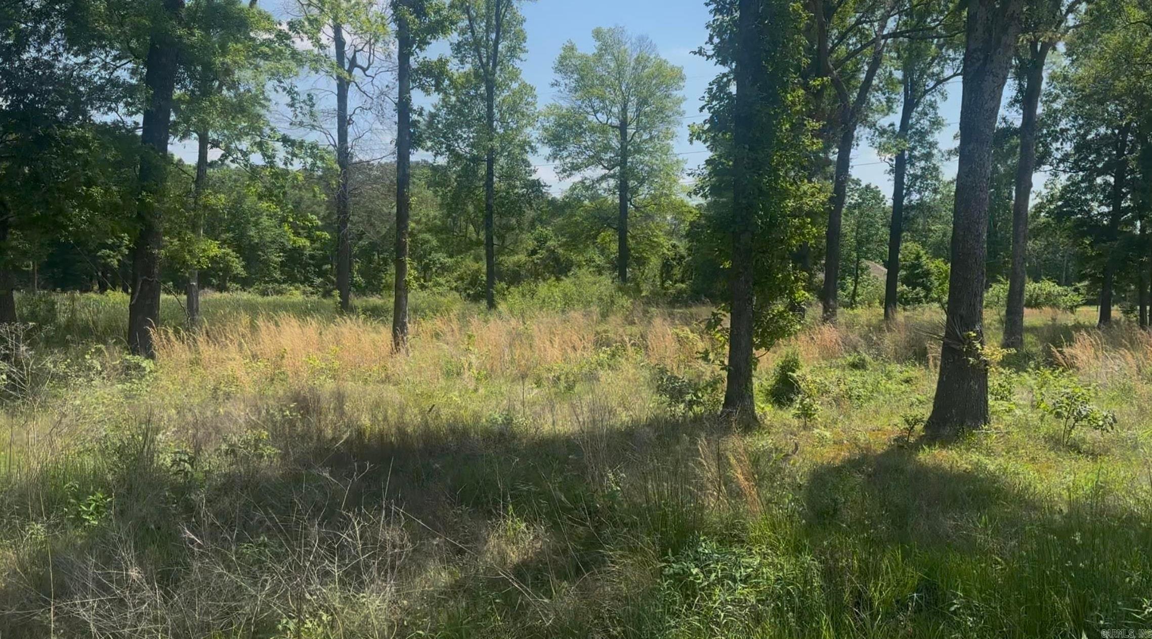 135 Singleton  Lonoke, AR