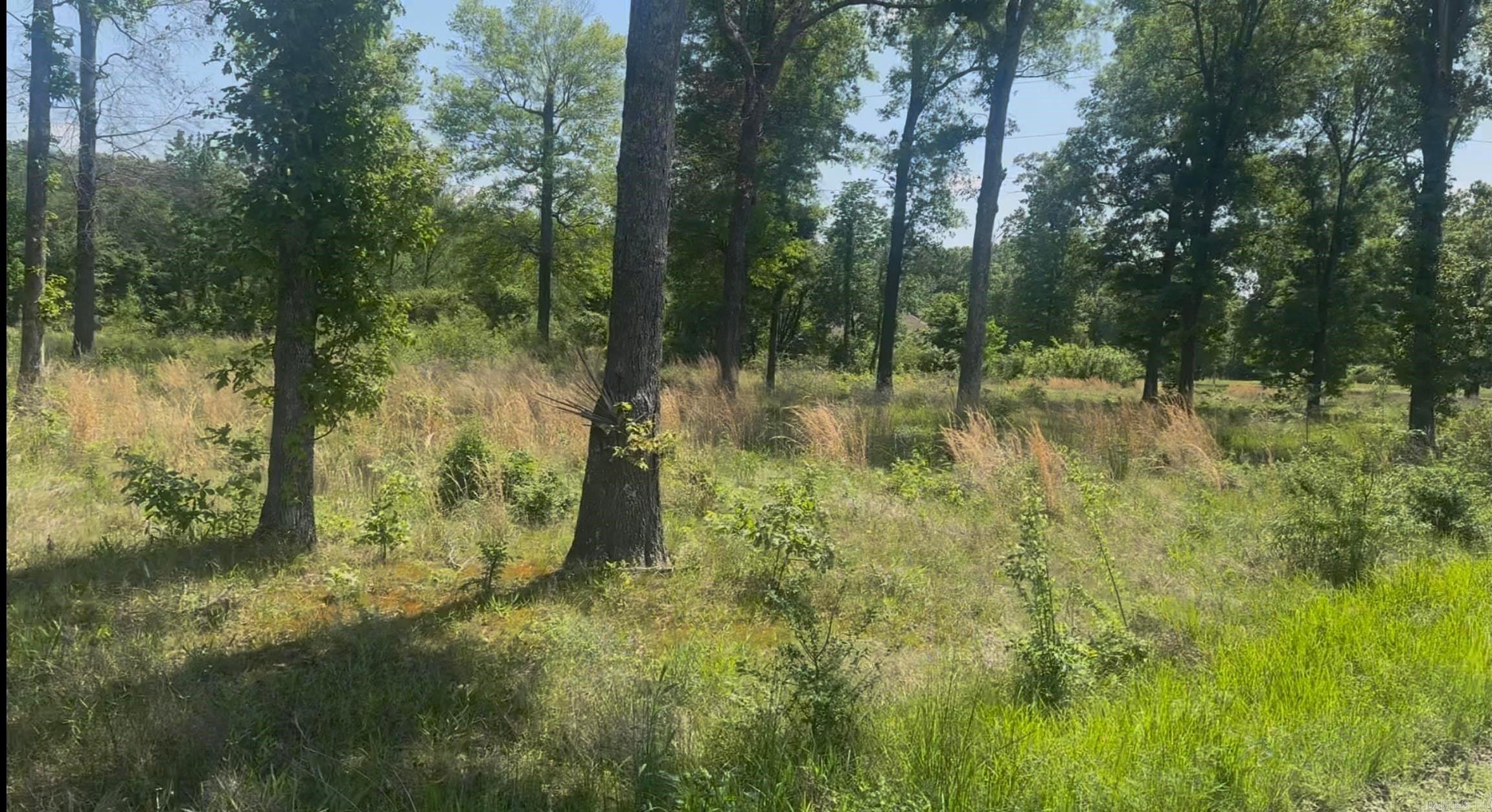 135 Singleton  Lonoke, AR