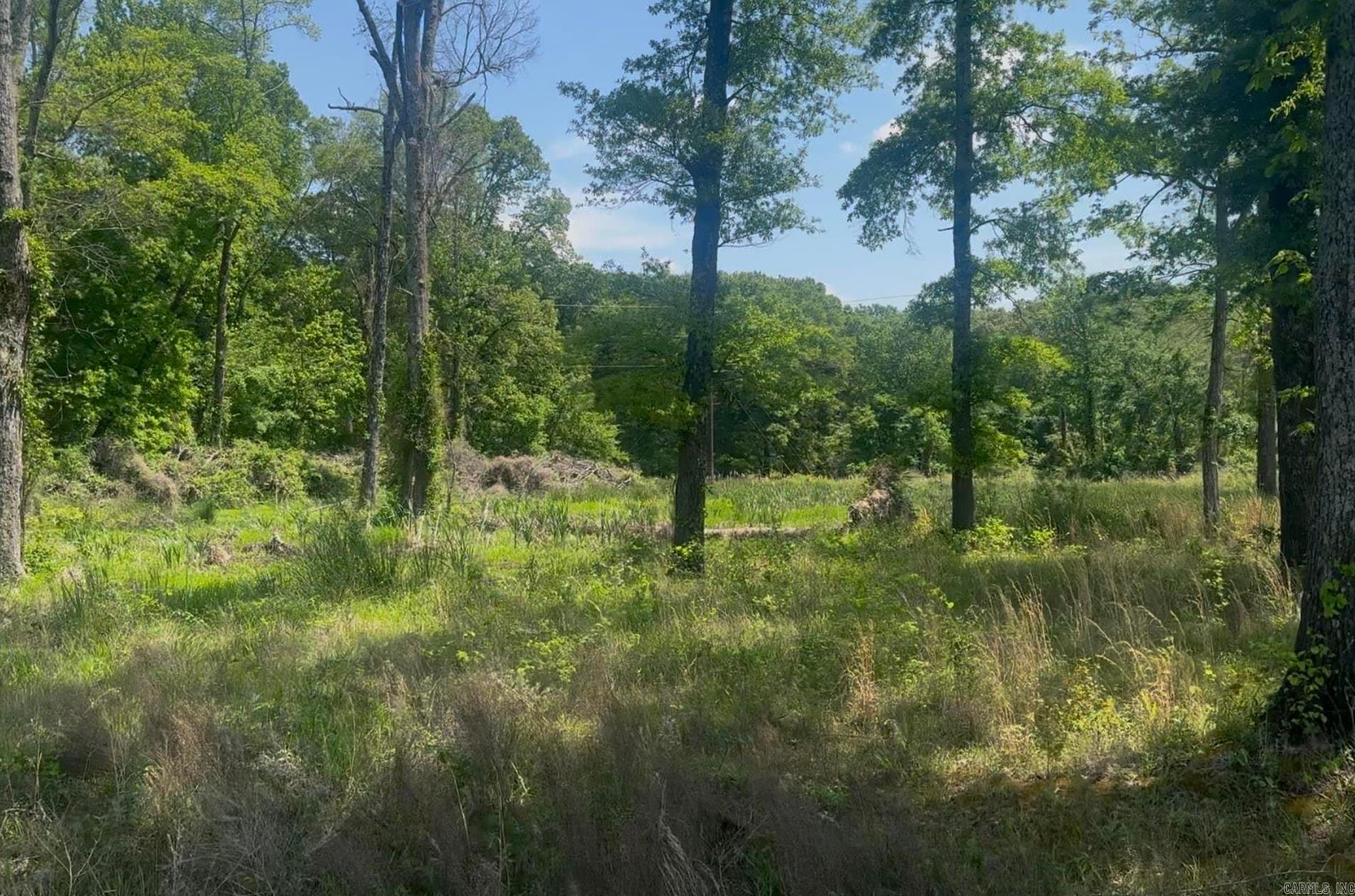 135 Singleton  Lonoke, AR