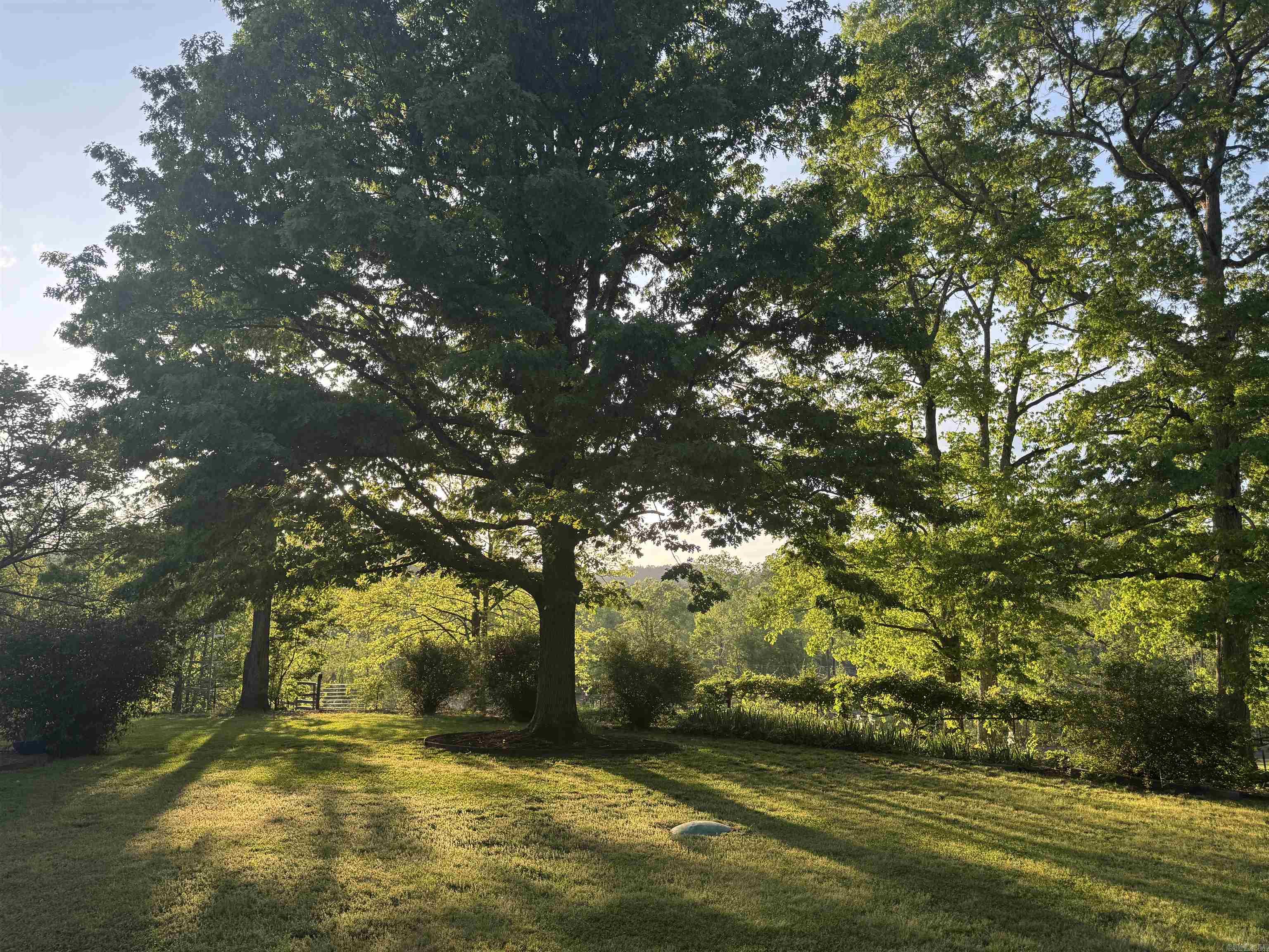 6902 Spring  Lonsdale, AR