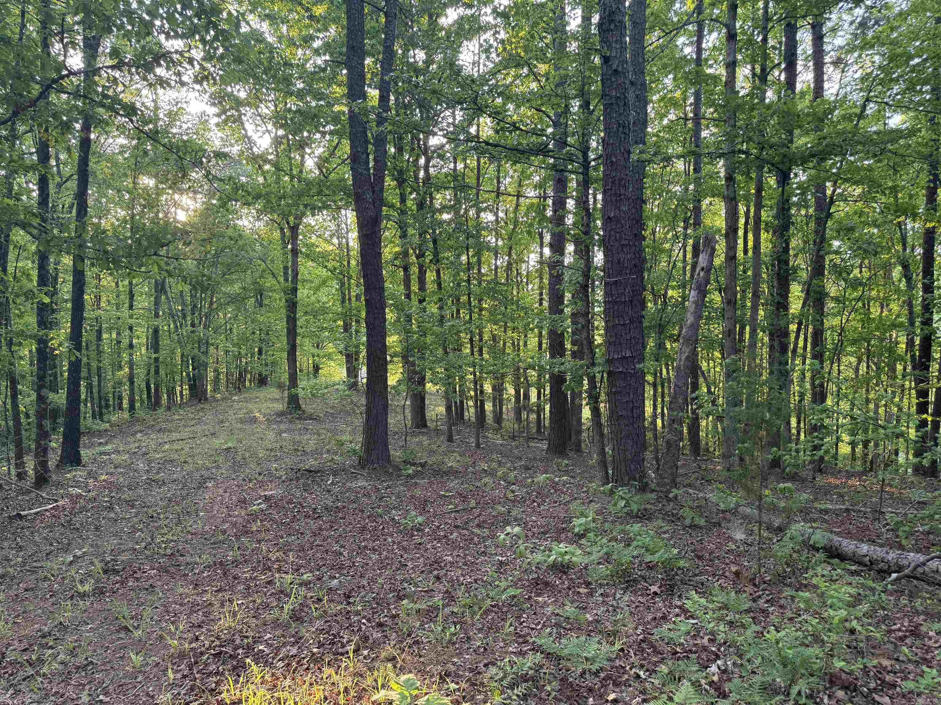 6902 Spring  Lonsdale, AR