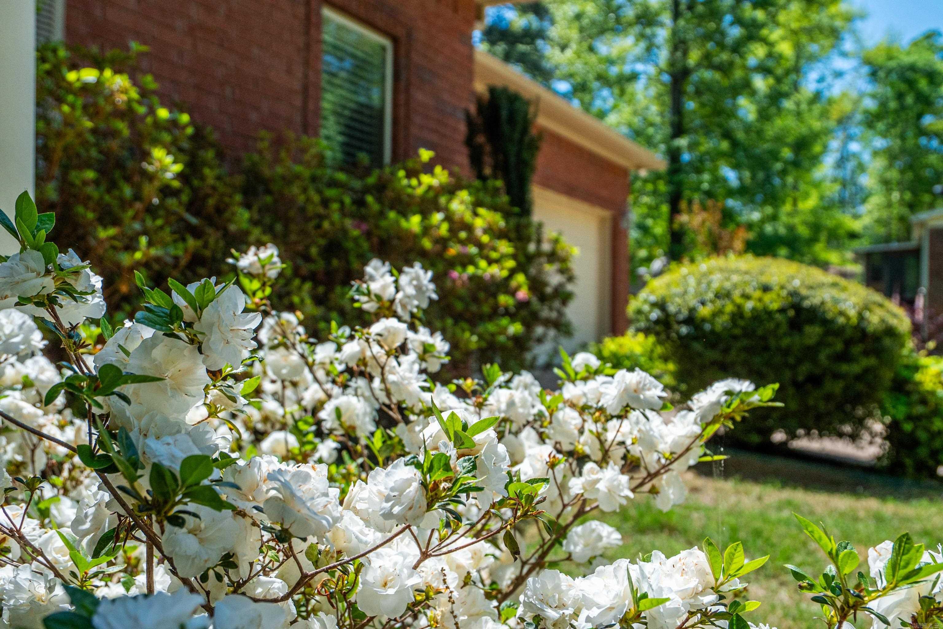 106 Clearview  Hot Springs, AR