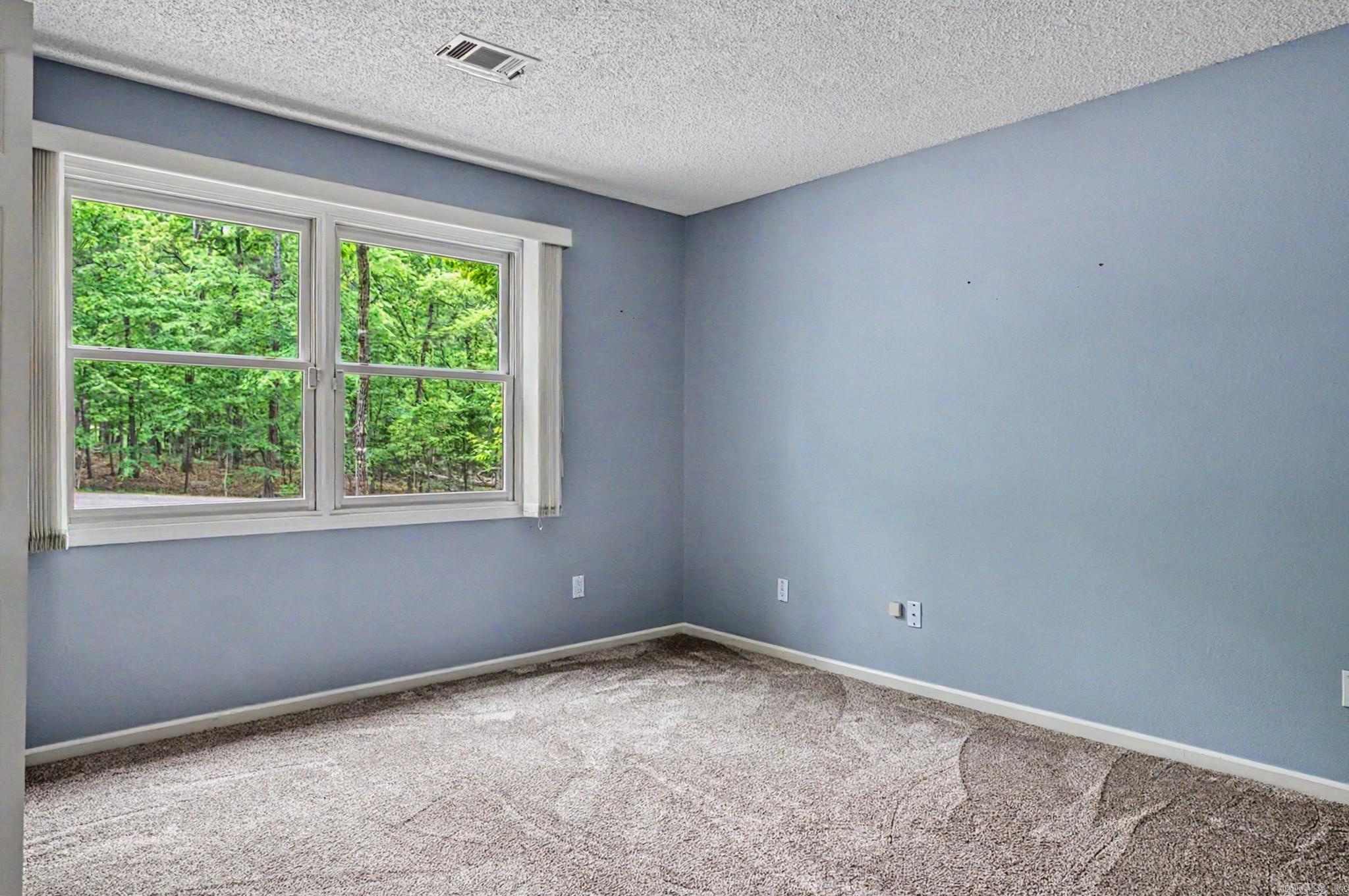 21 Surtidor Lane  Hot Springs Village, AR