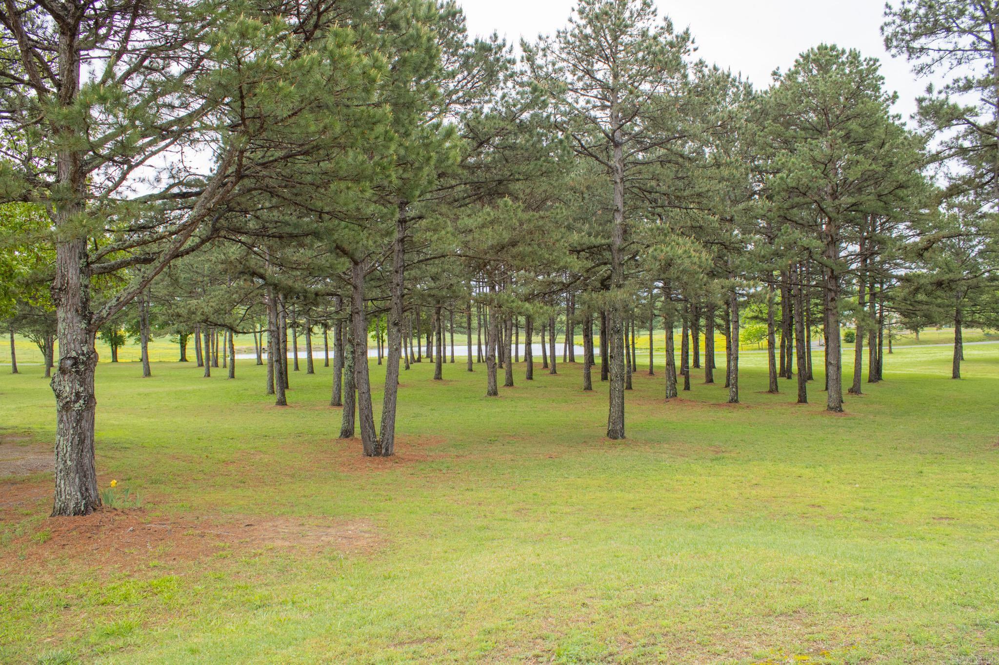 112 Peaceful Ln  Mena, AR