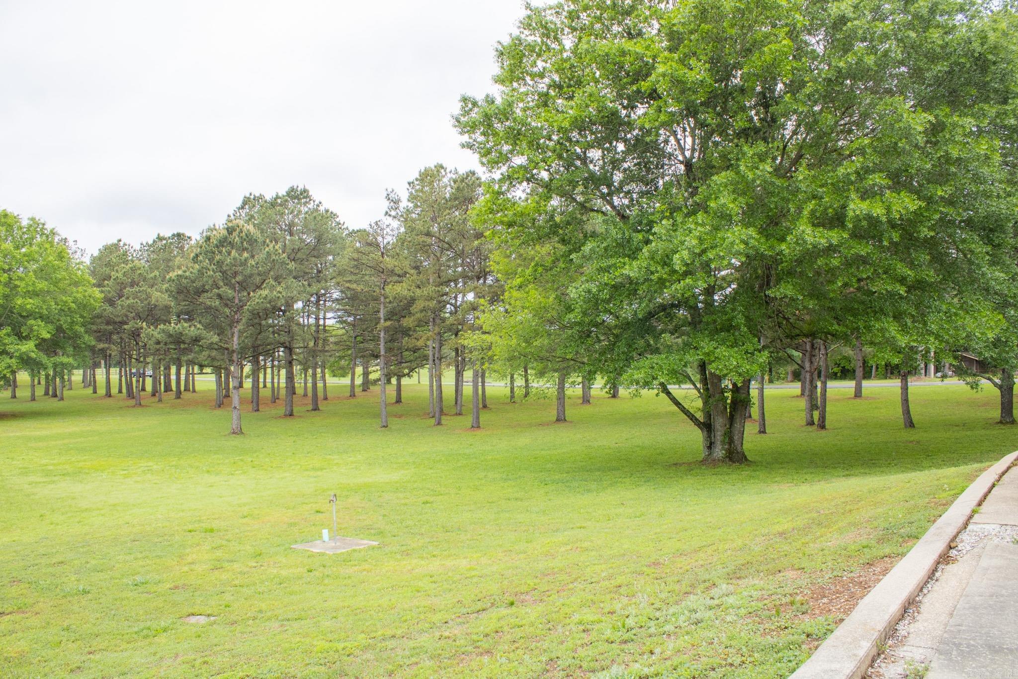 112 Peaceful Ln  Mena, AR