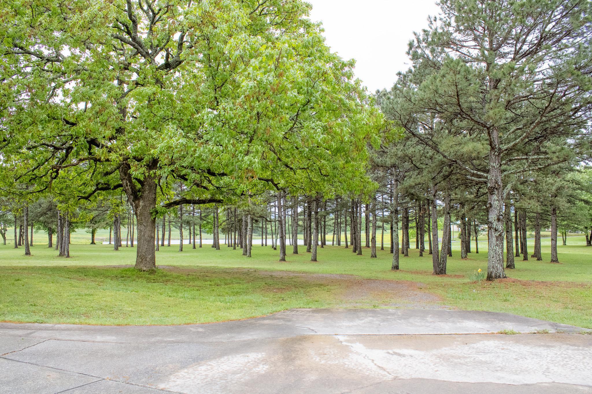 112 Peaceful Ln  Mena, AR