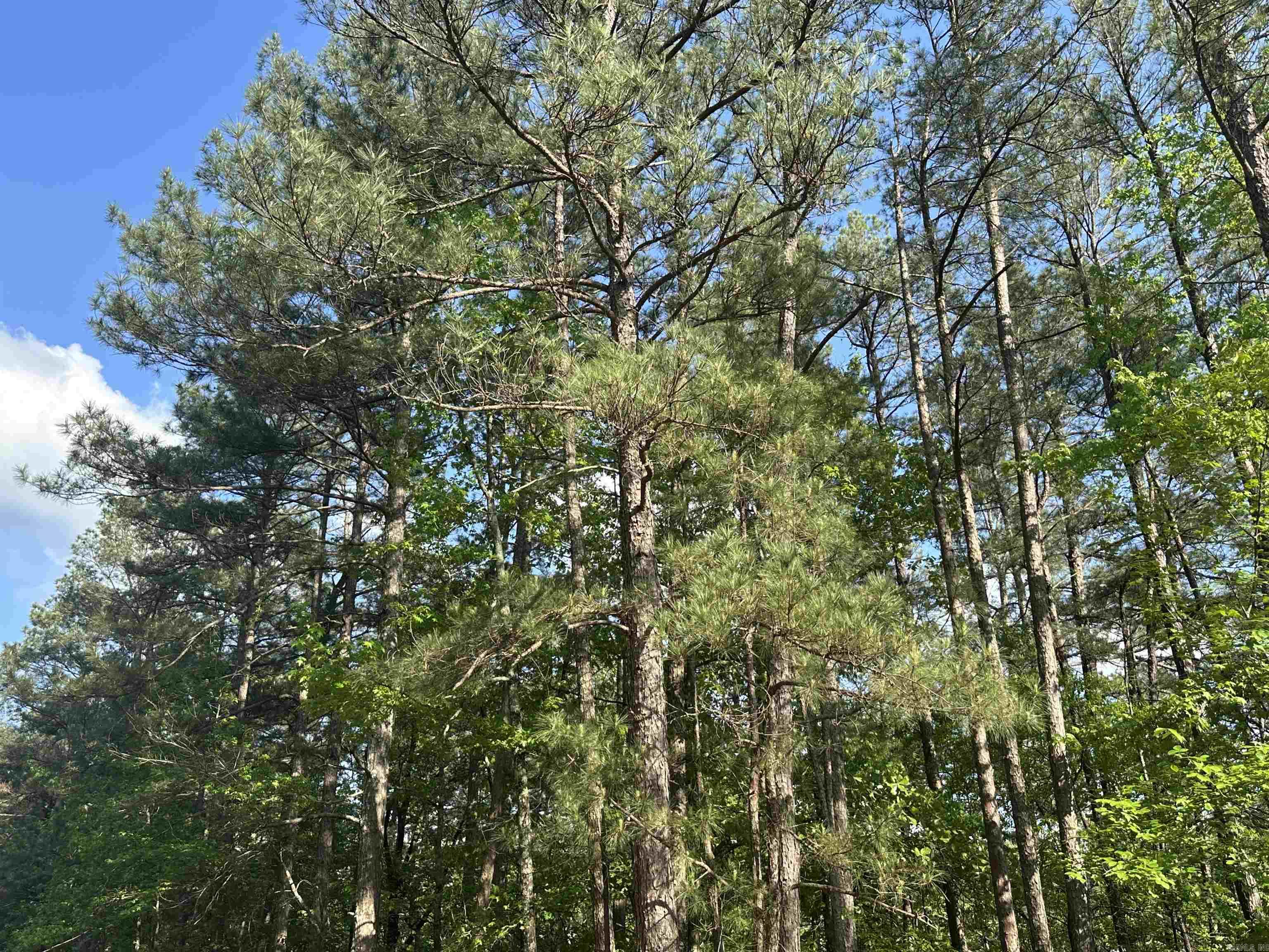  Mustang  Malvern, AR