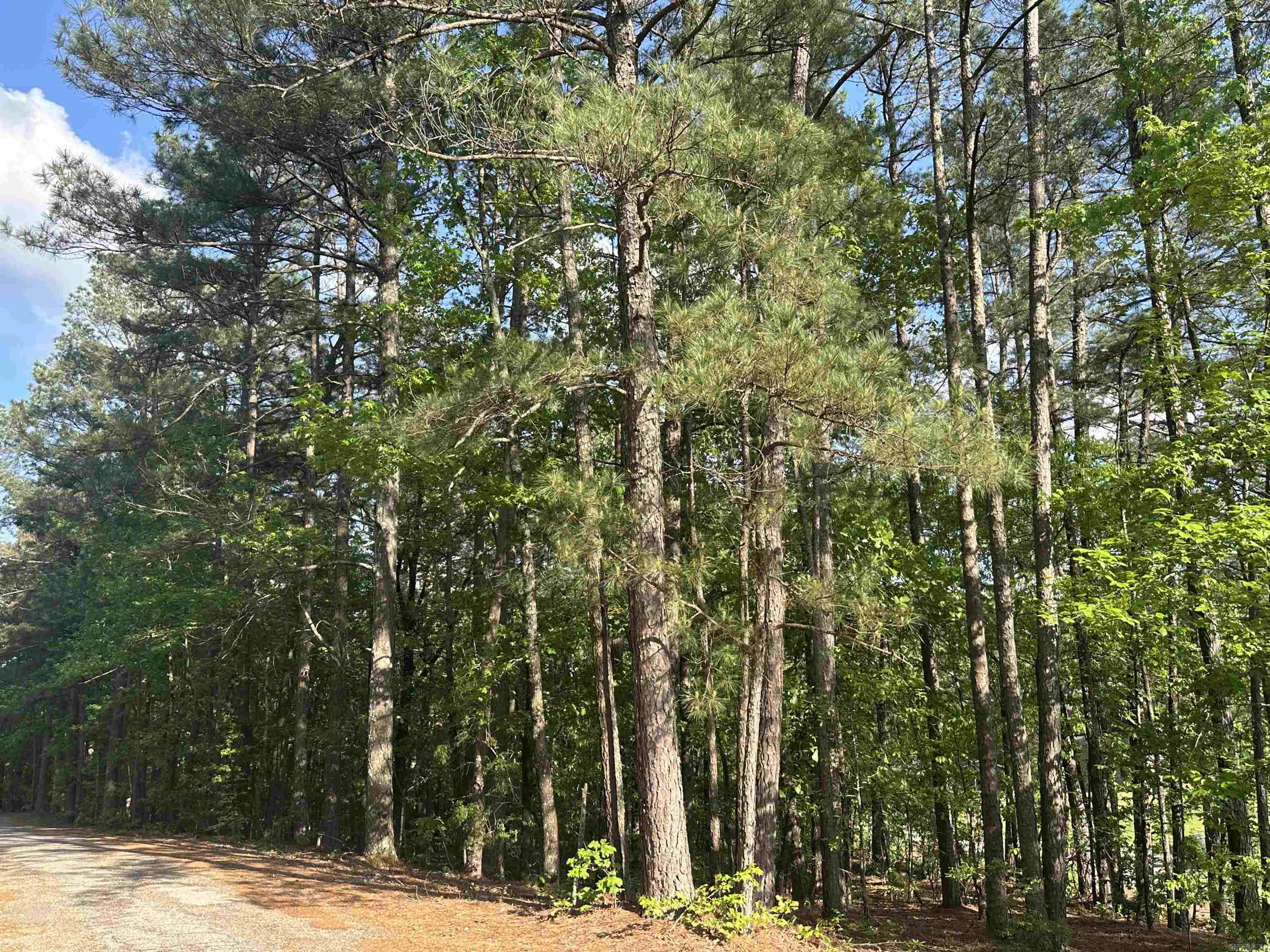  Mustang  Malvern, AR