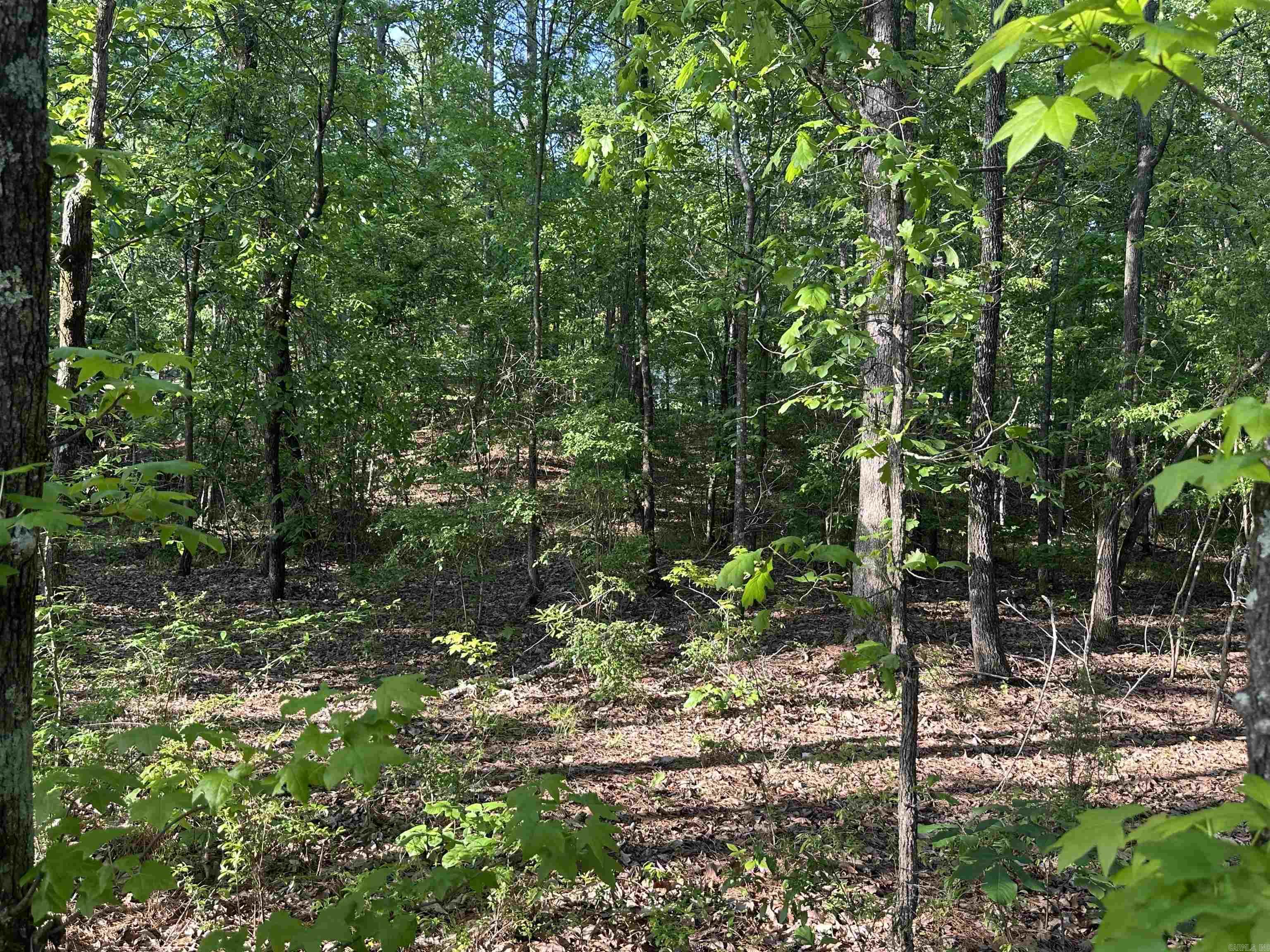  Mustang  Malvern, AR