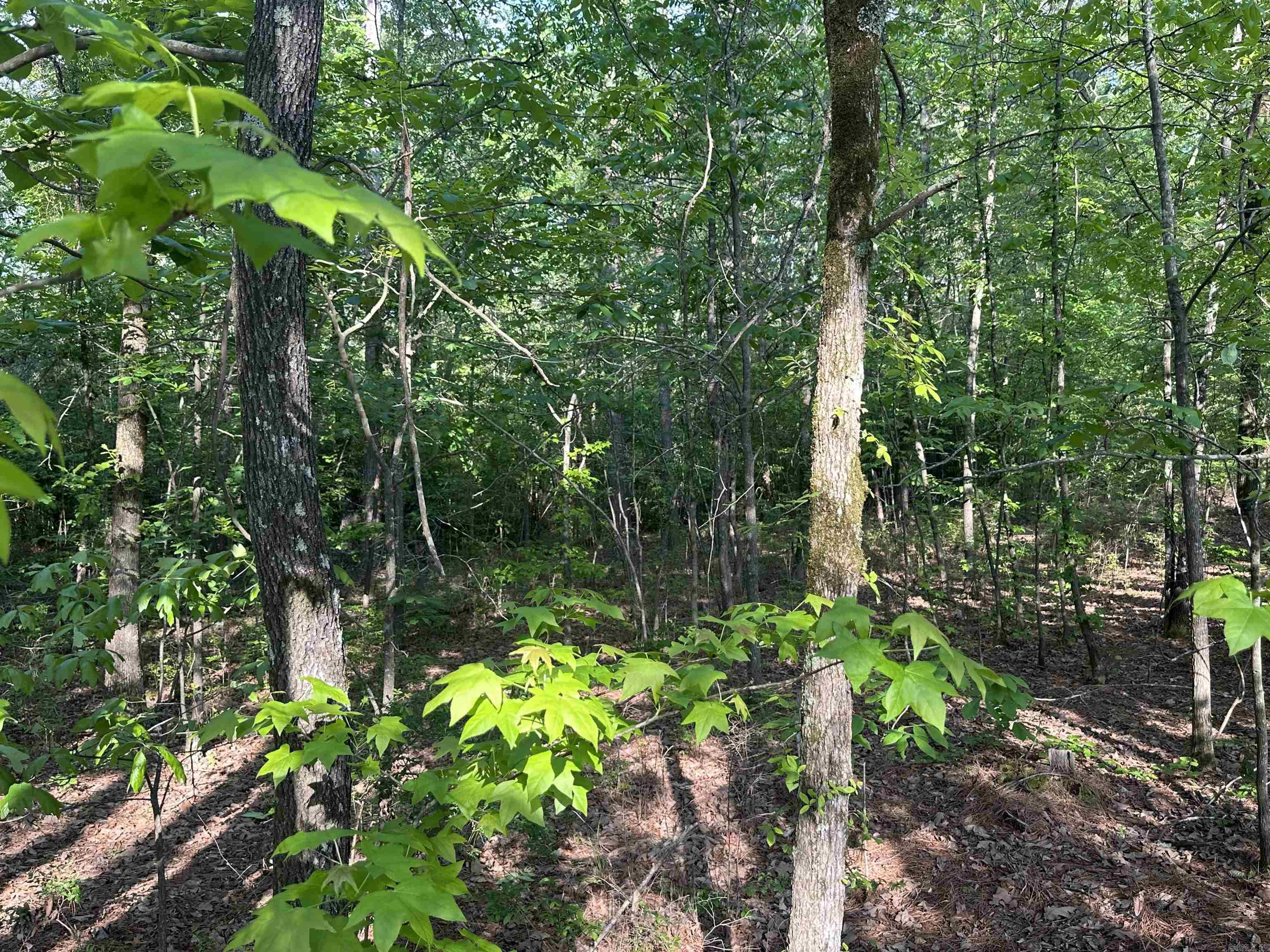  Mustang  Malvern, AR