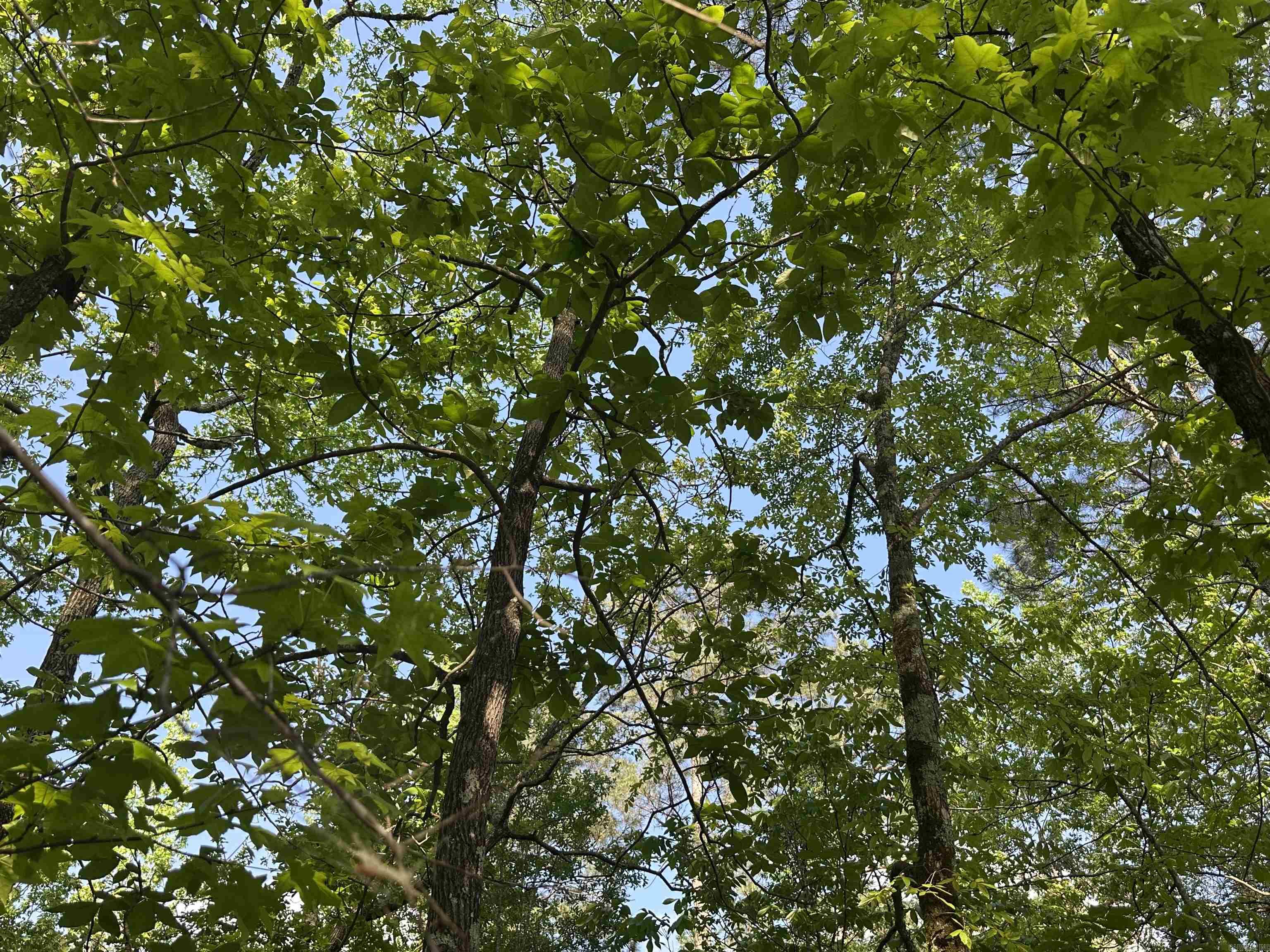  Mustang  Malvern, AR