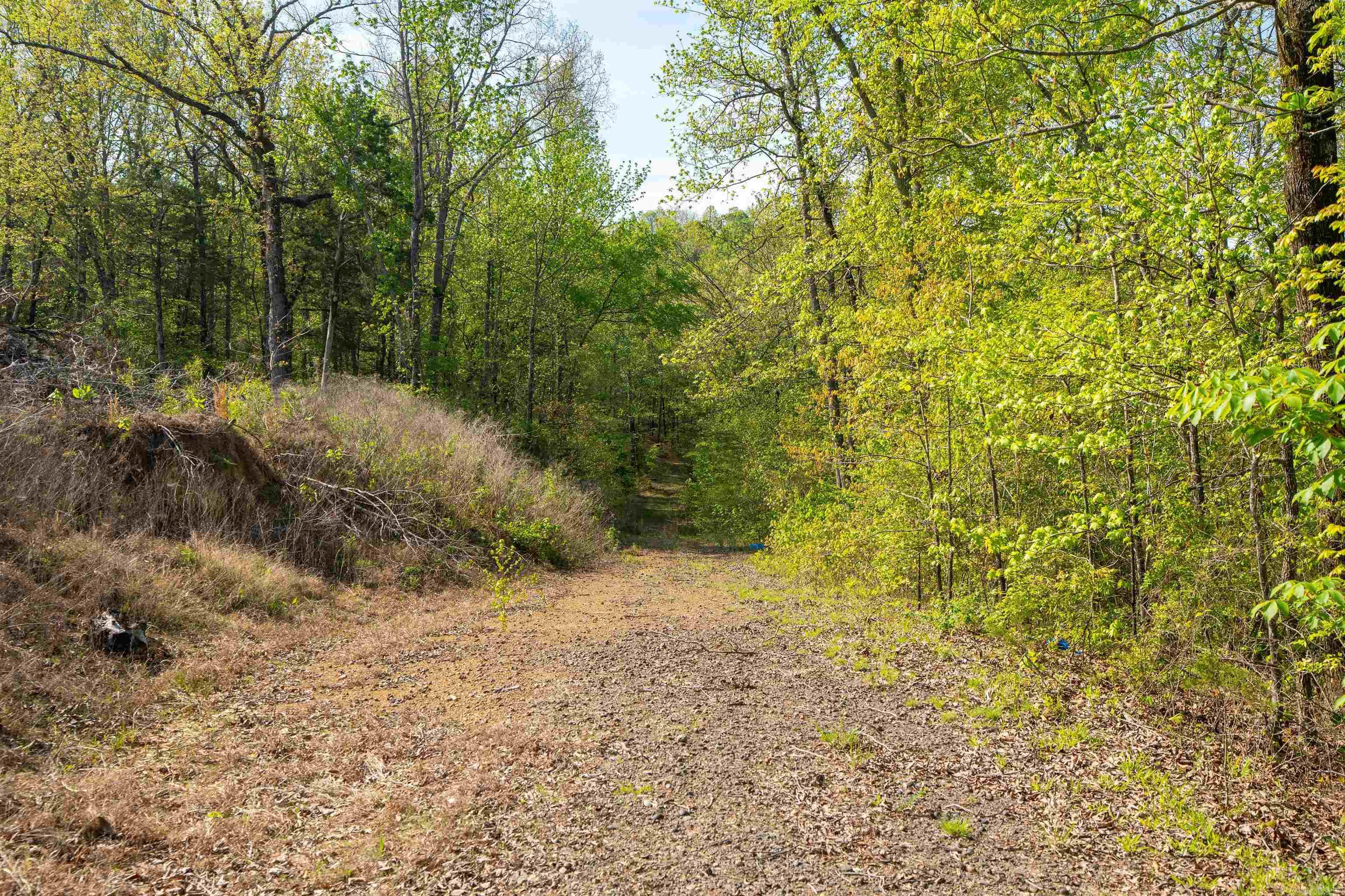 119 Ge-Mar  Pangburn, AR