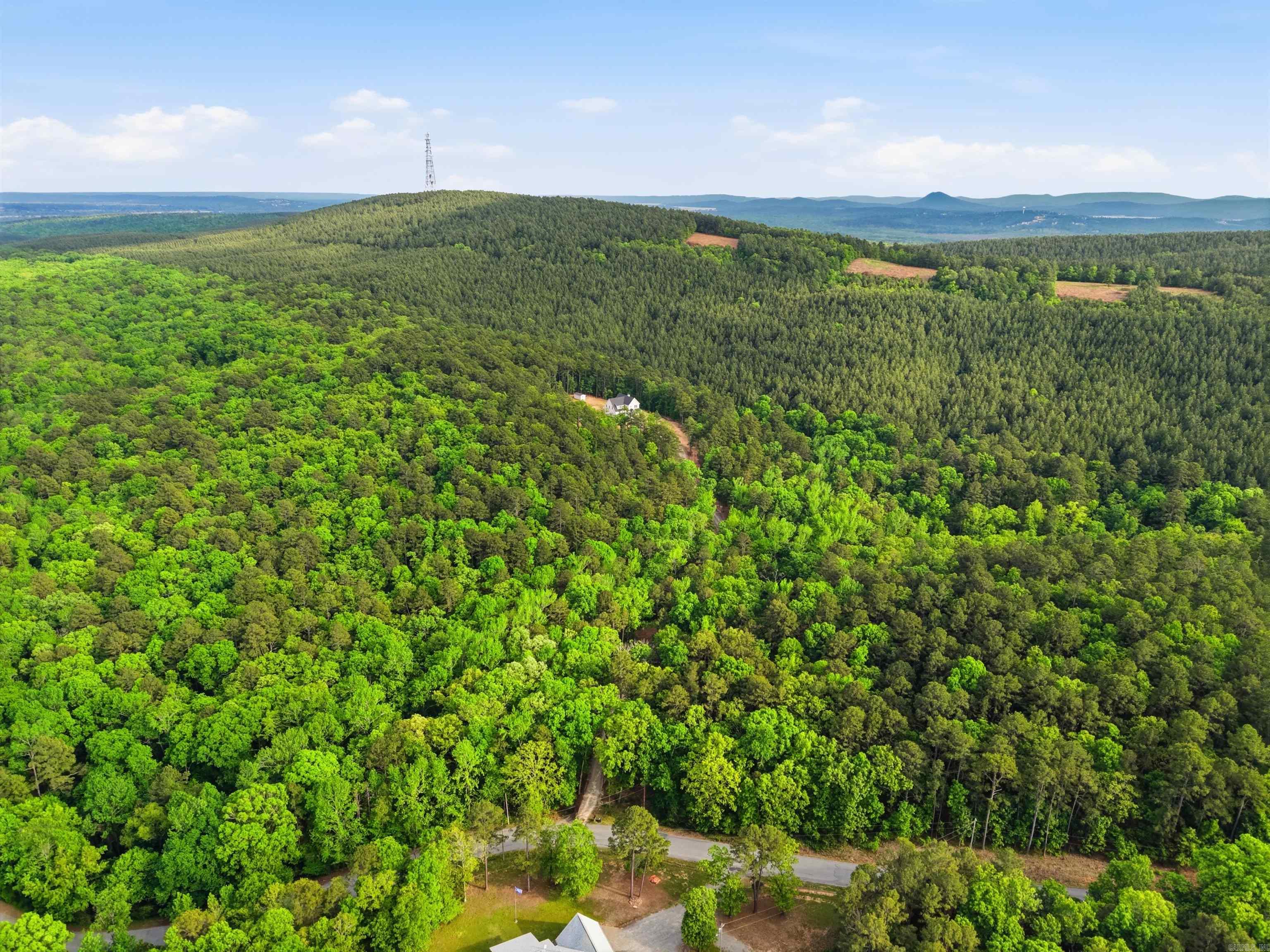 20301 Dwight Little  Roland, AR